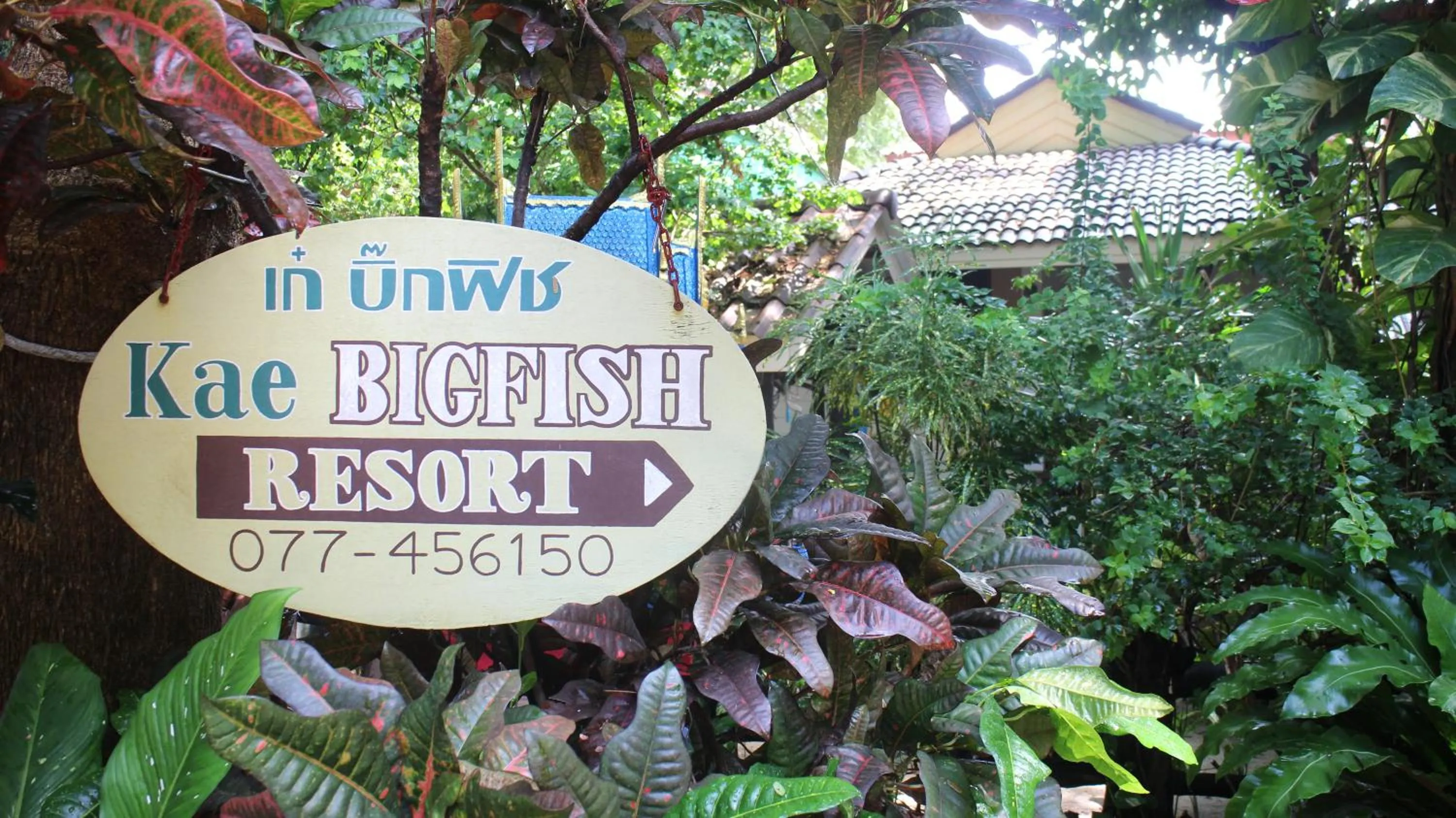 Big Fish Resort Koh Tao