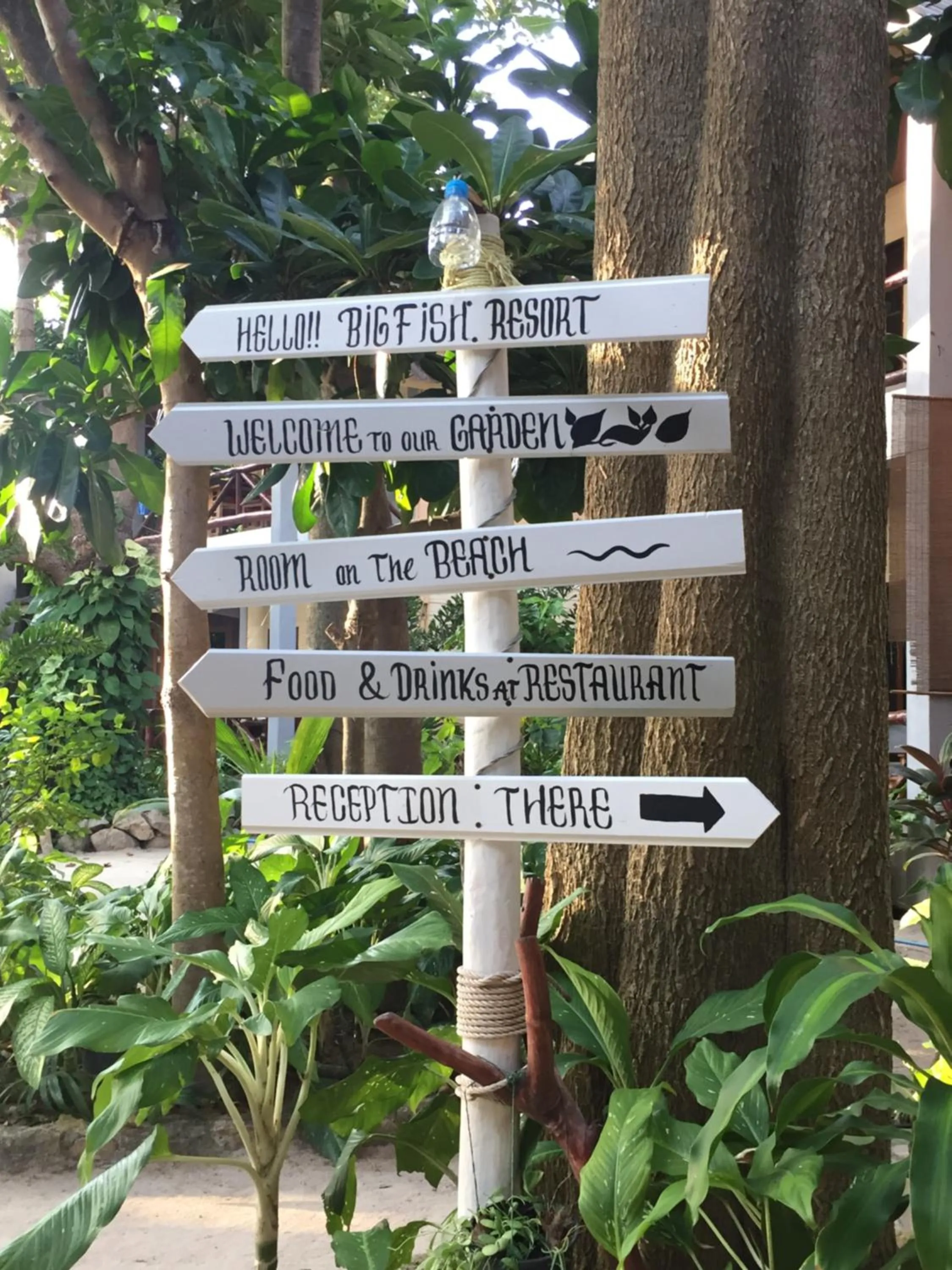 Big Fish Resort Koh Tao