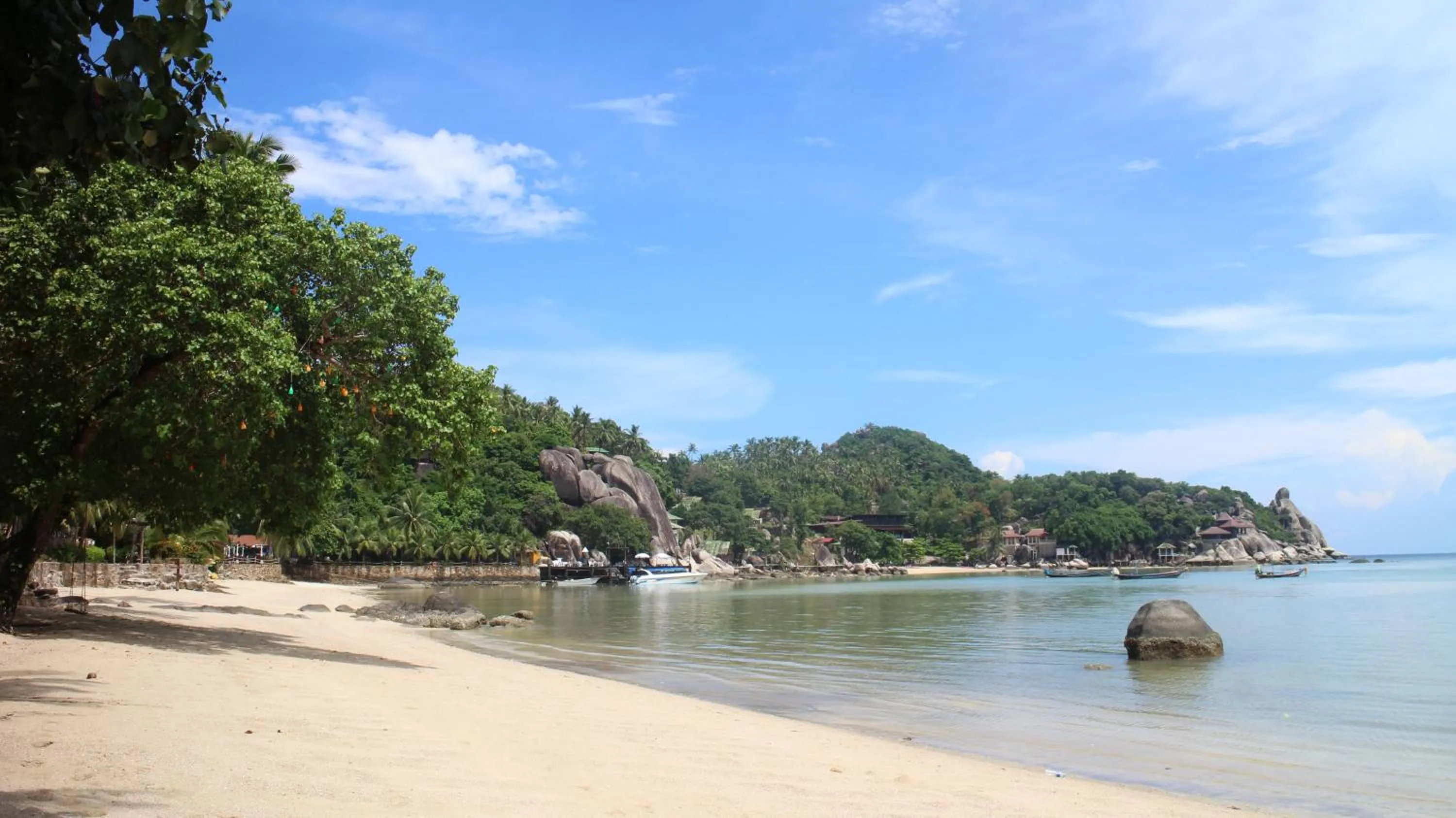 Big Fish Resort Koh Tao