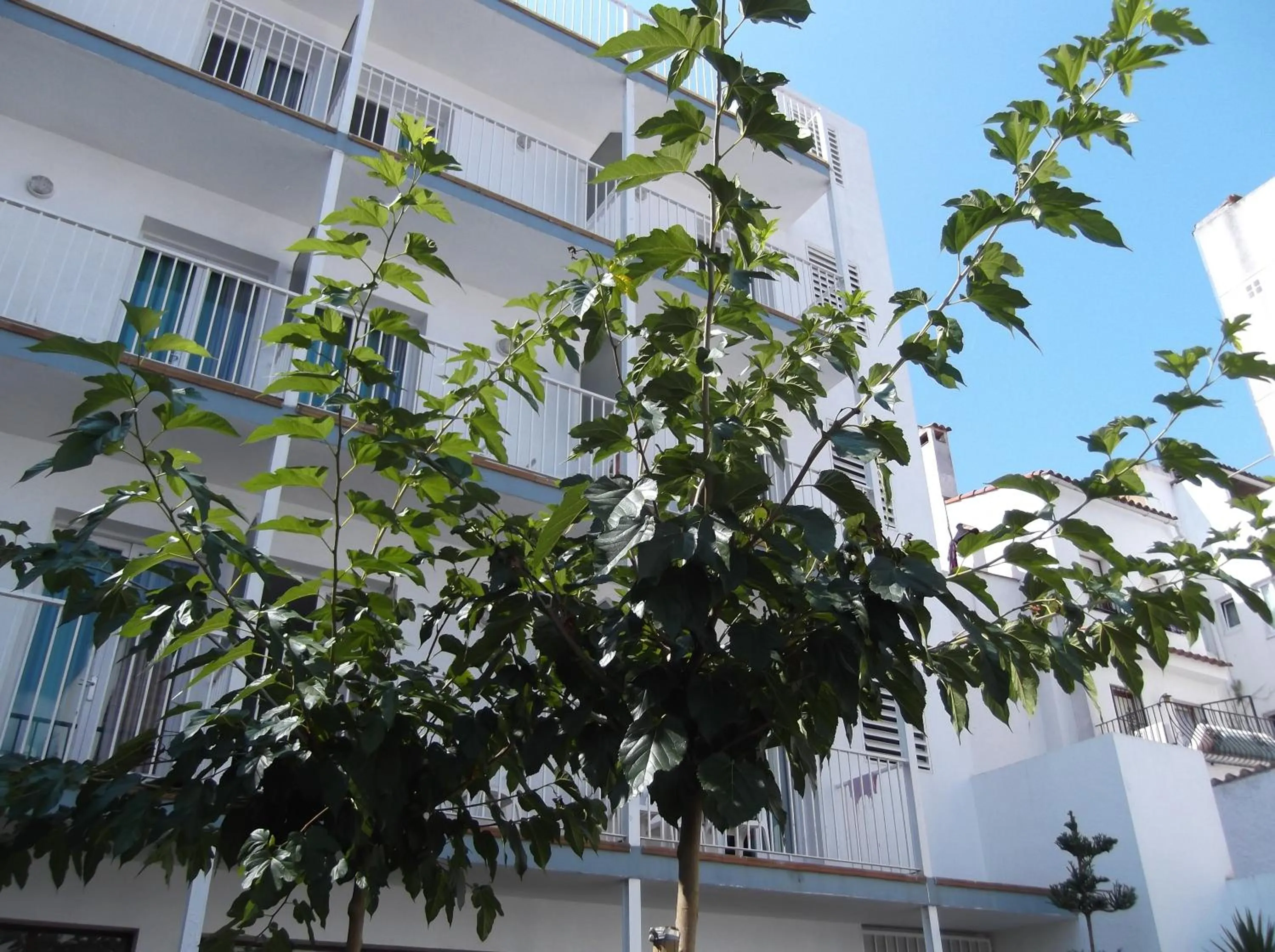Facade/entrance in Hotel Simeon