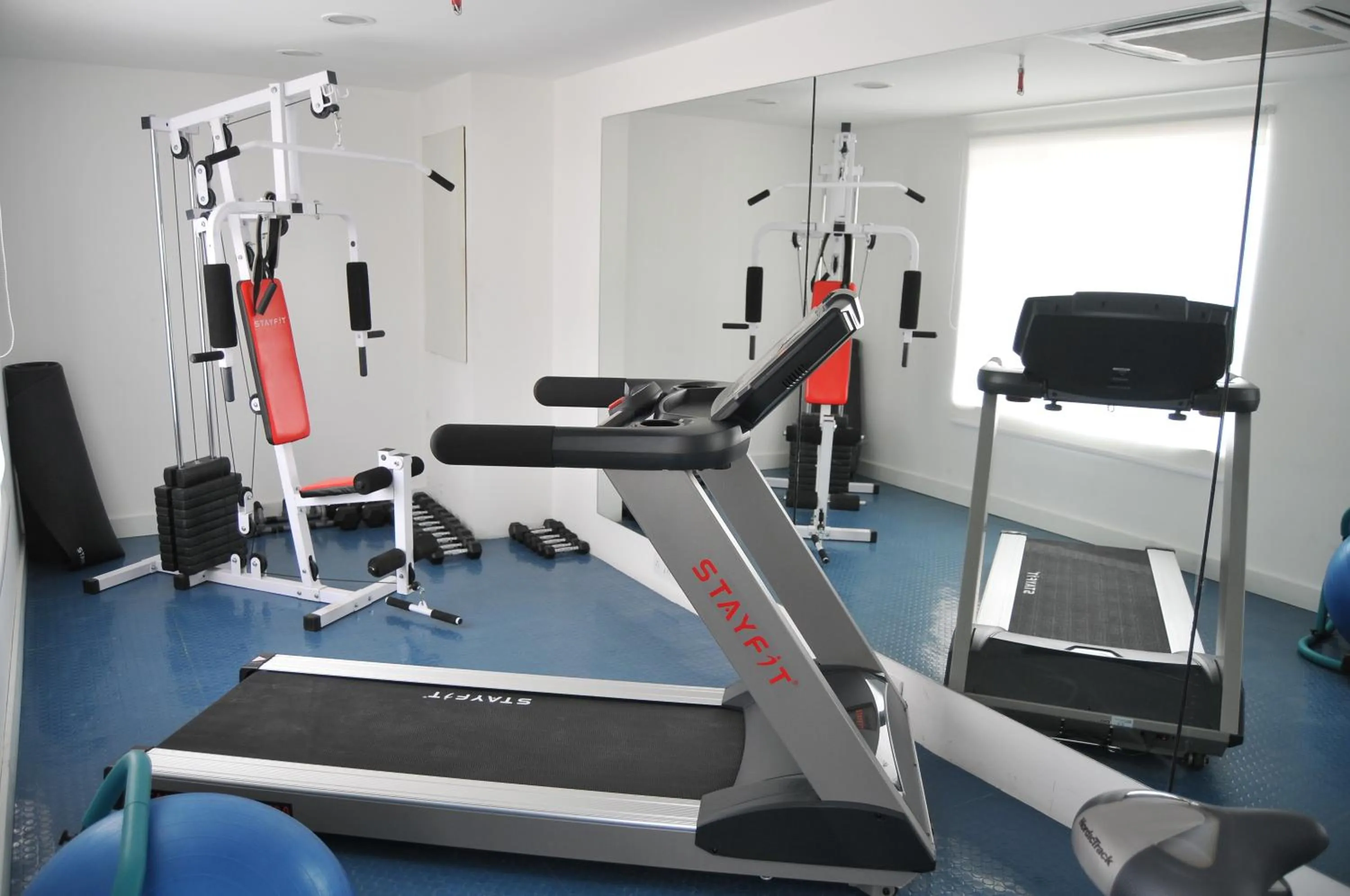 Fitness centre/facilities in ICON SELECT by Bhagini