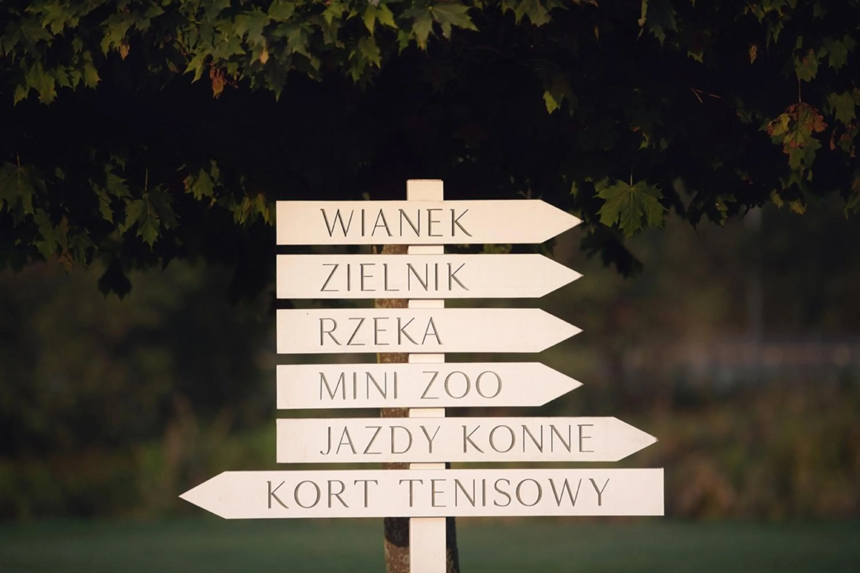 Day in Sielanka Nad Pilicą