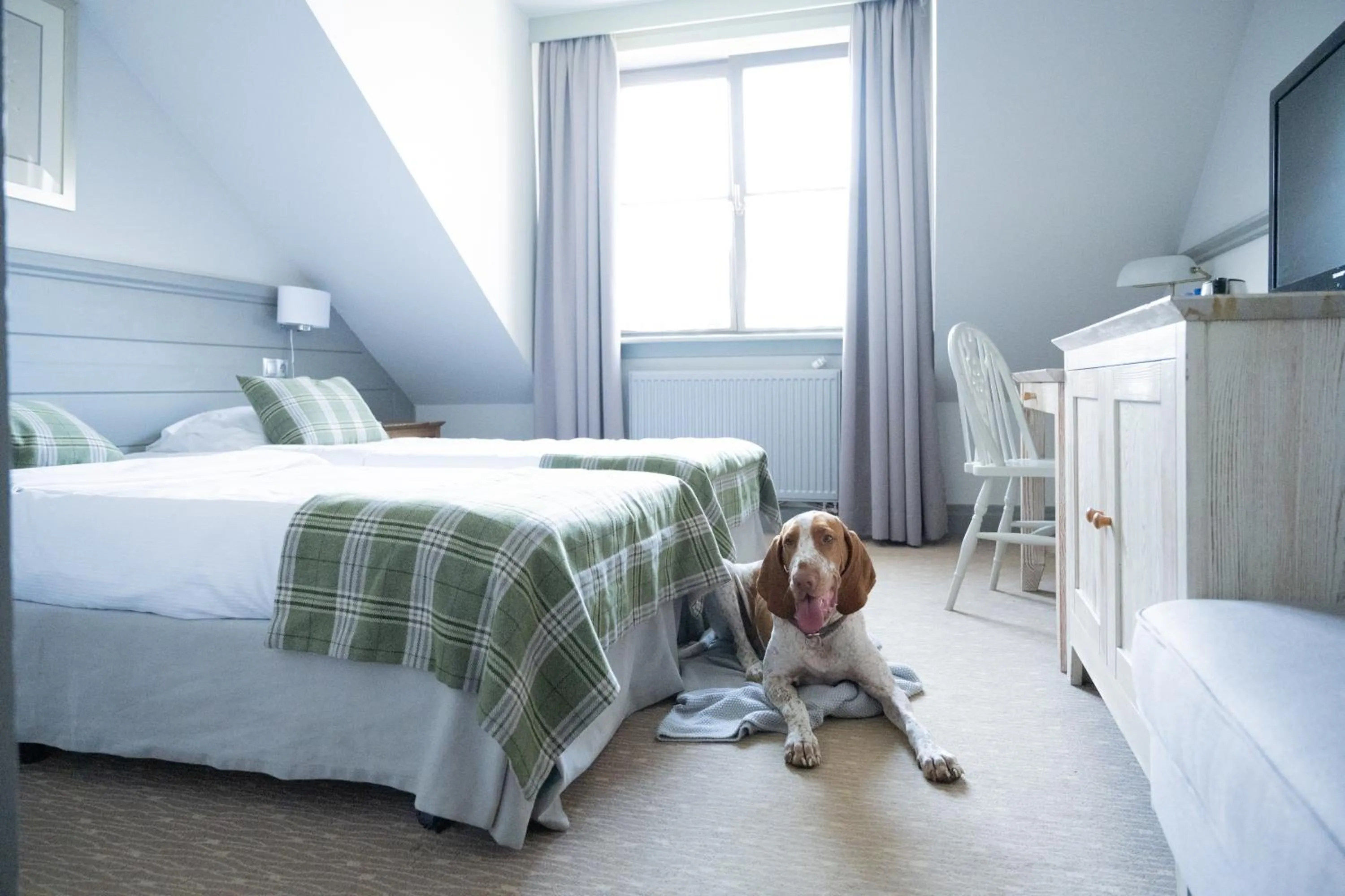 Bed in Sielanka Nad Pilicą