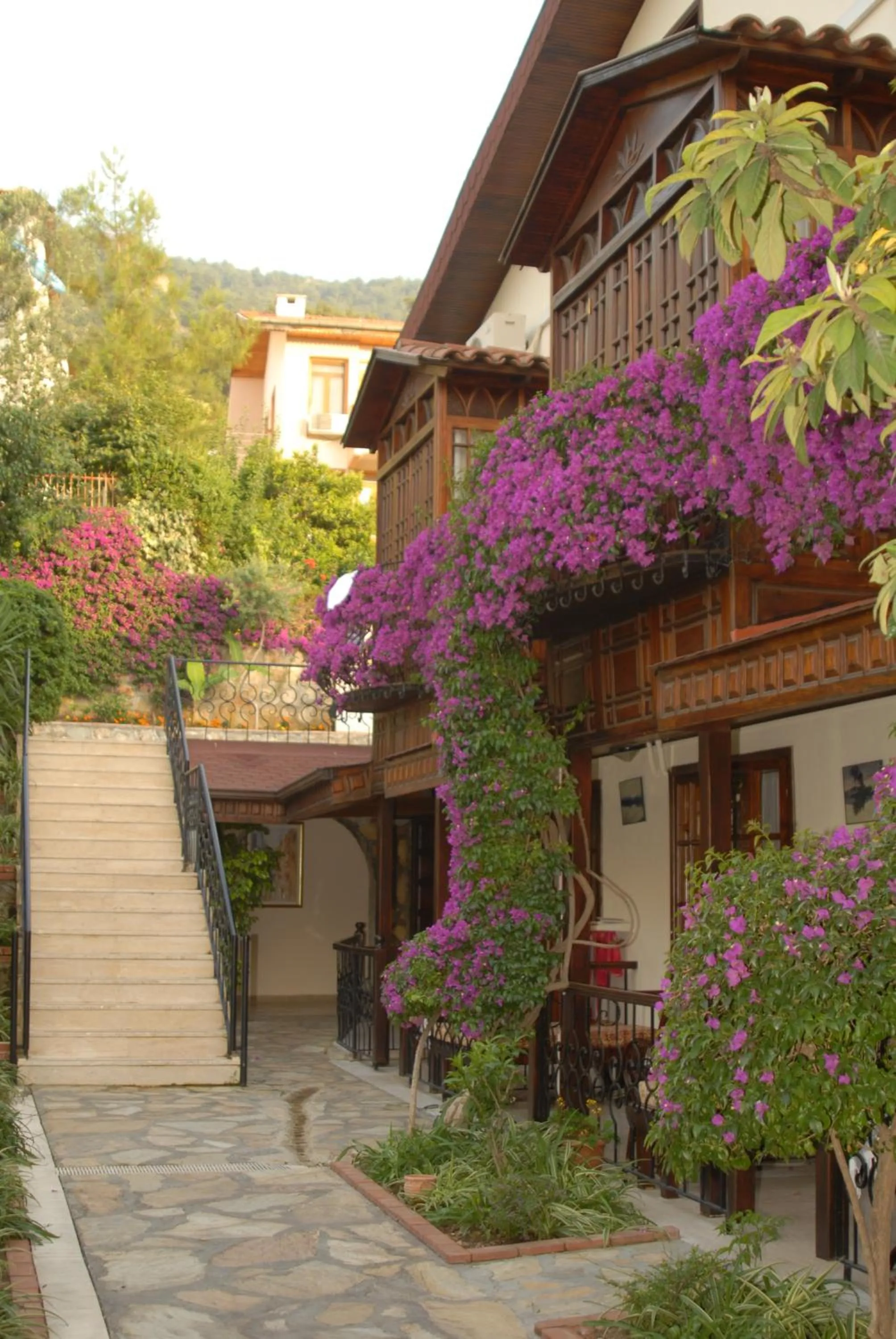 Natural landscape in Hotel Villa Daffodil