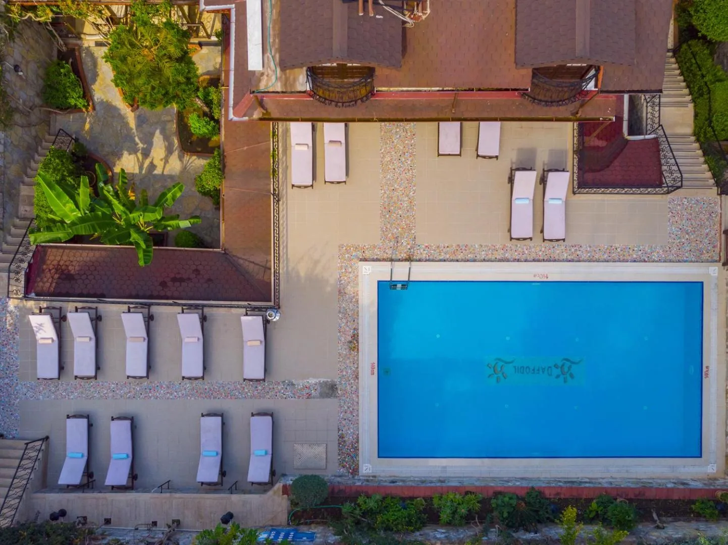 Hotel Villa Daffodil