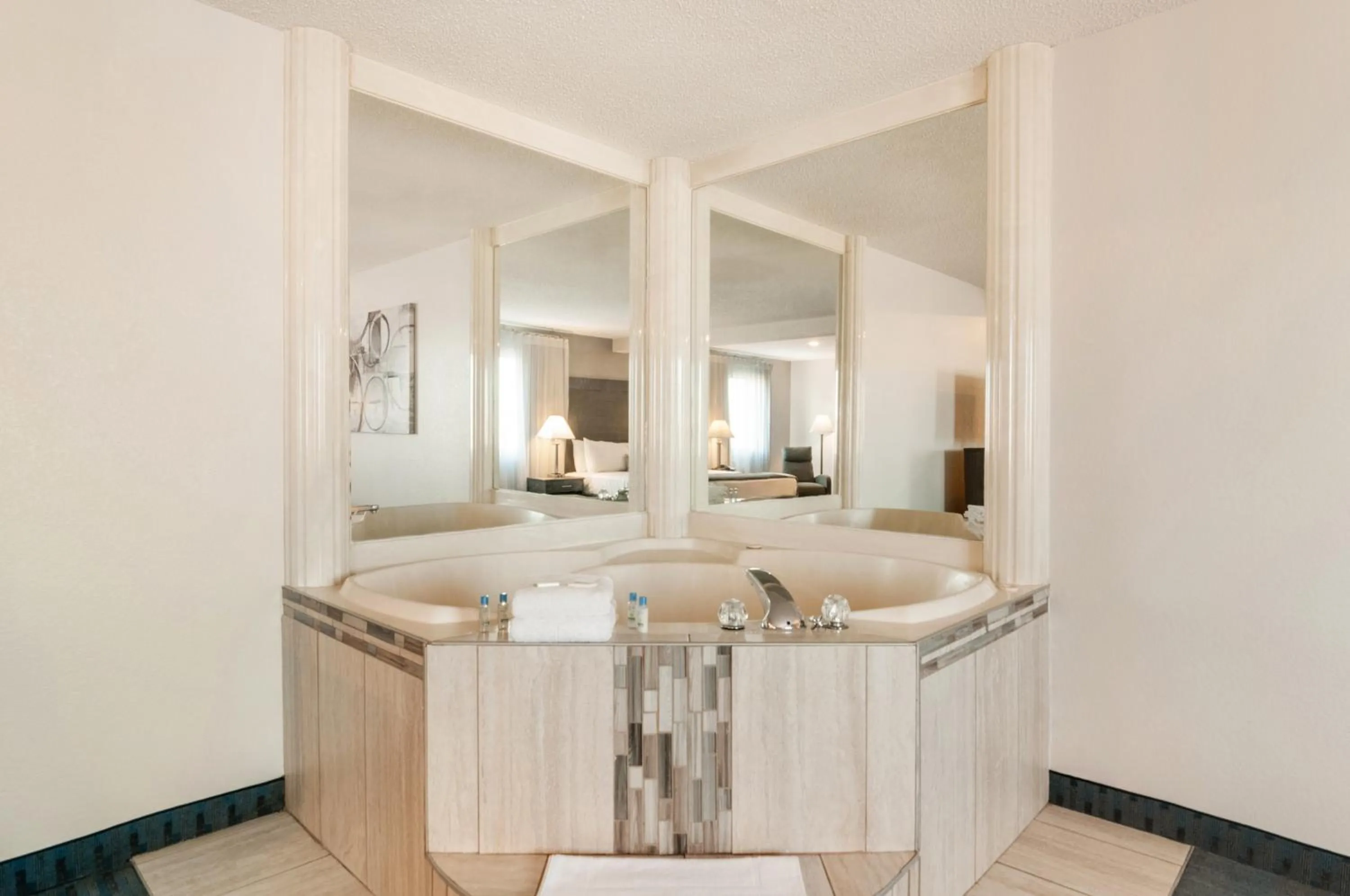 American Inn & Suites Metro Airport