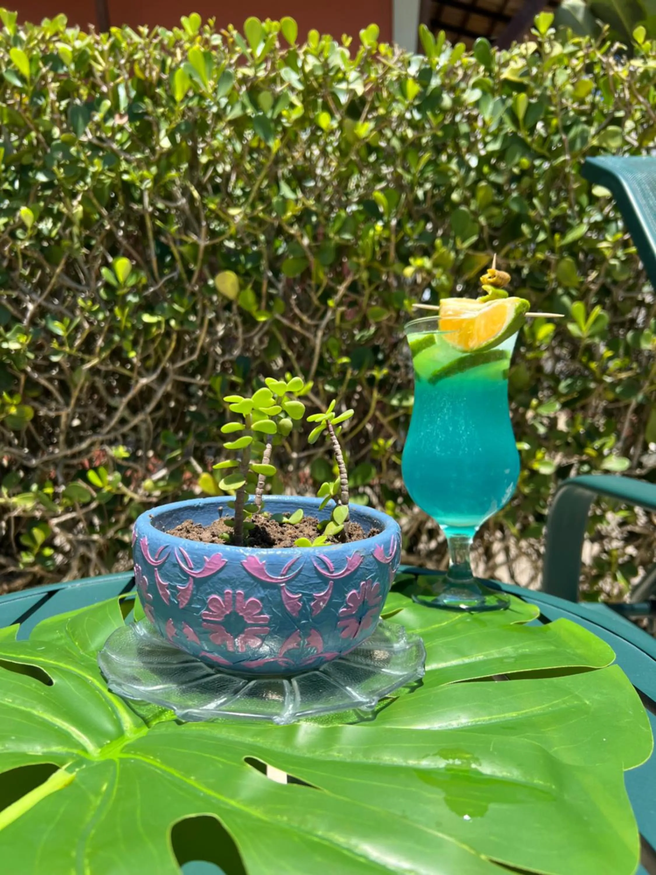 Drinks in Pousada Praia Bela