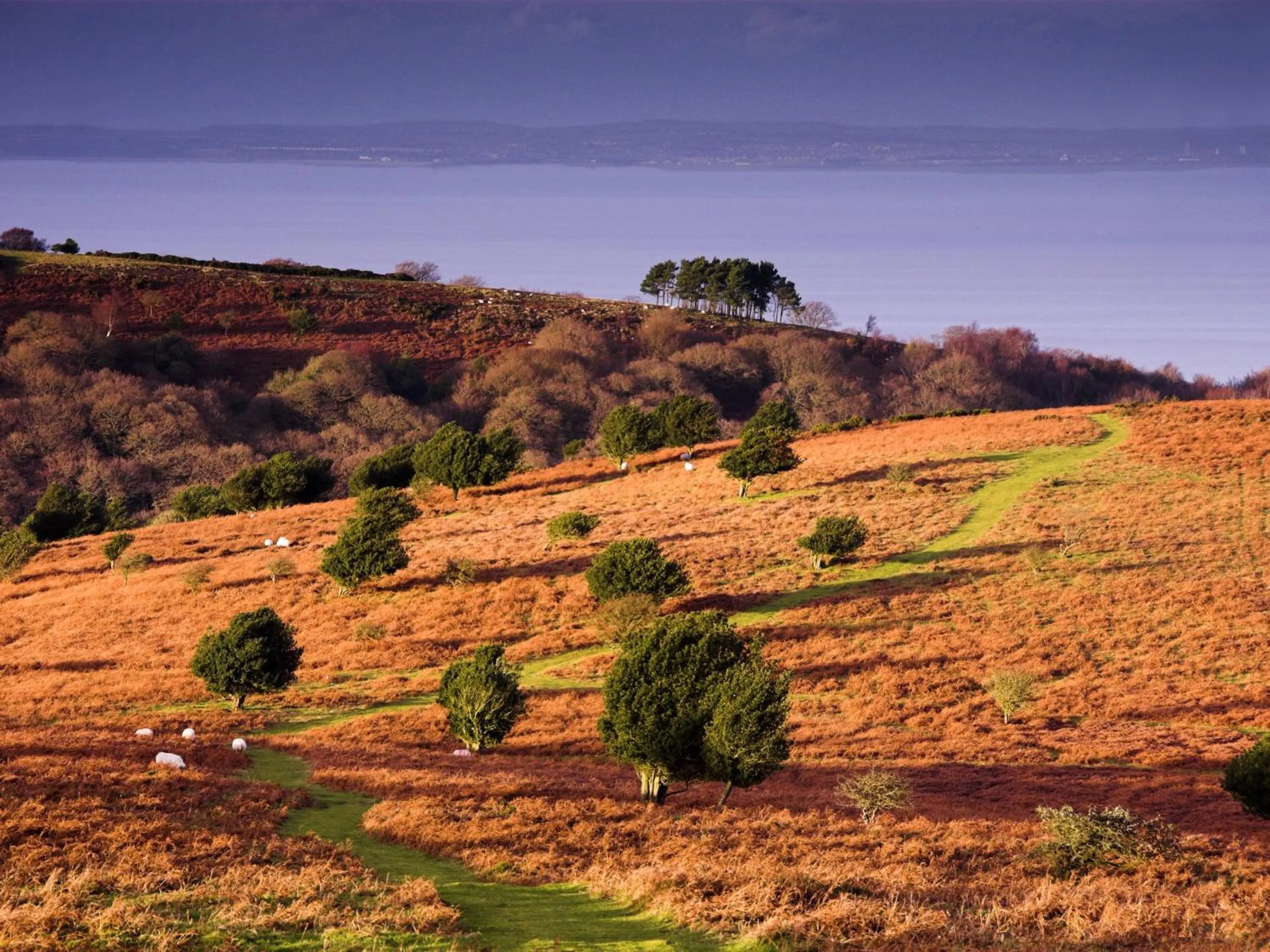 Other in The Hood Arms