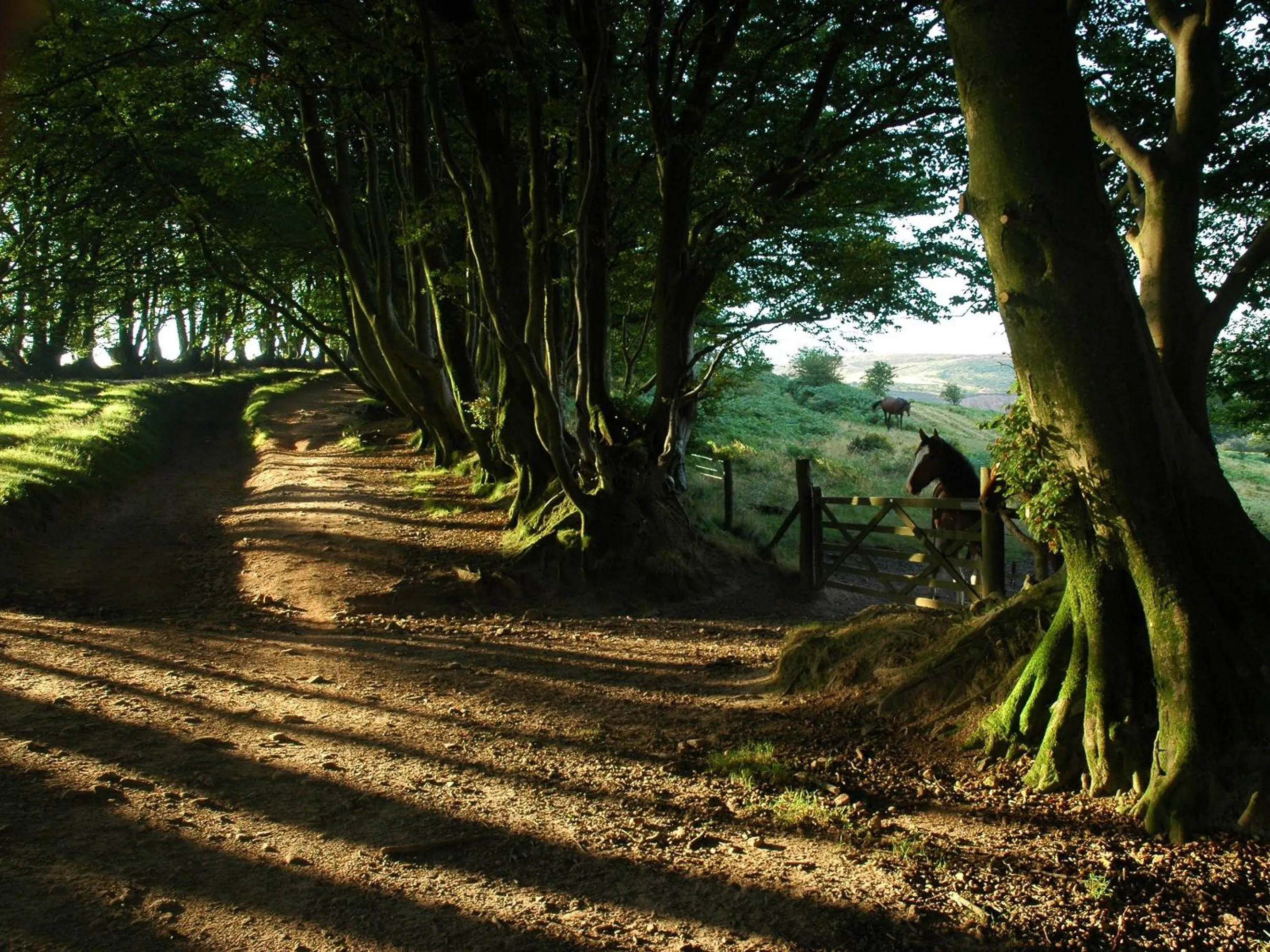 Other in The Hood Arms