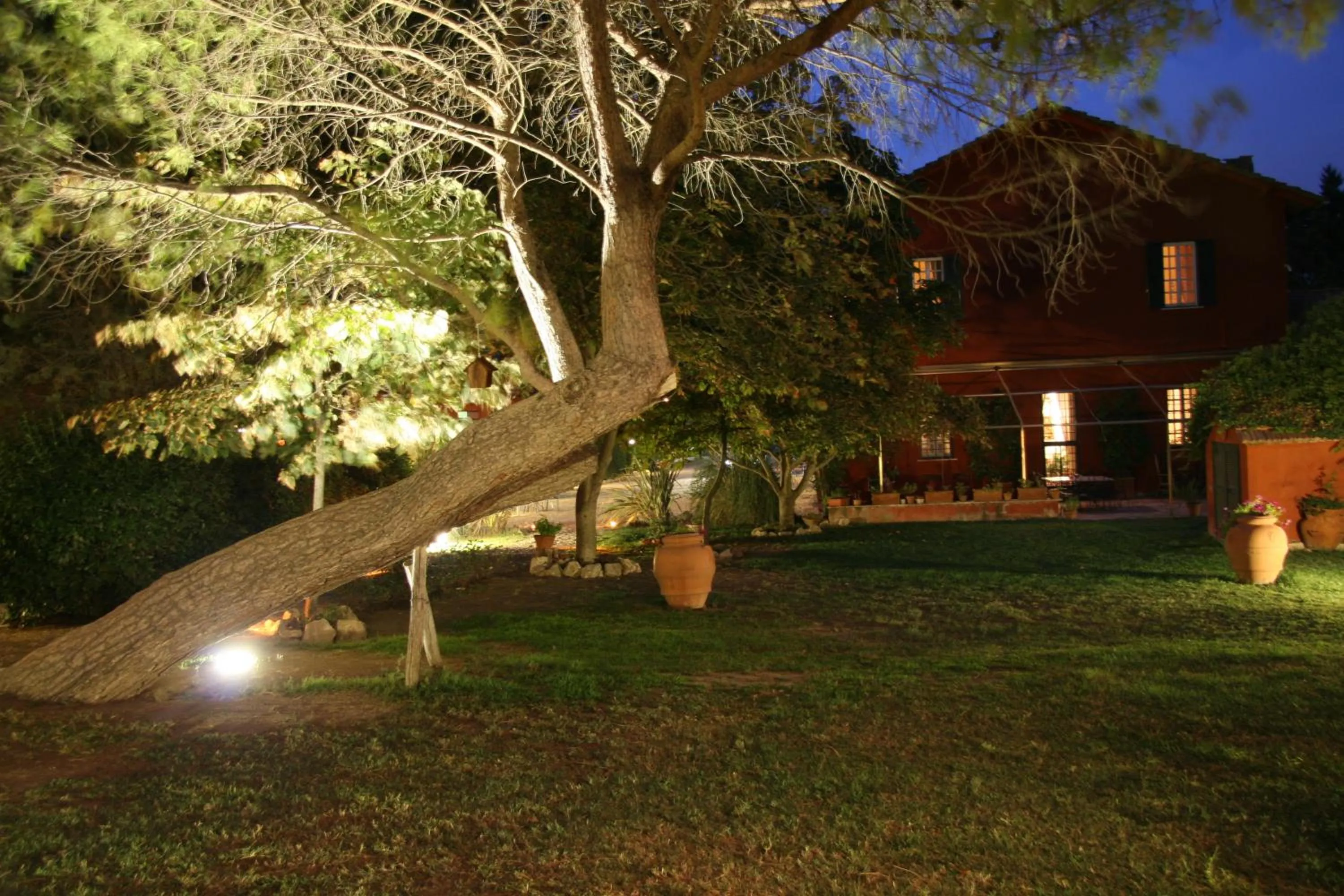Night in Tenuta Agricola Fonte Di Papa