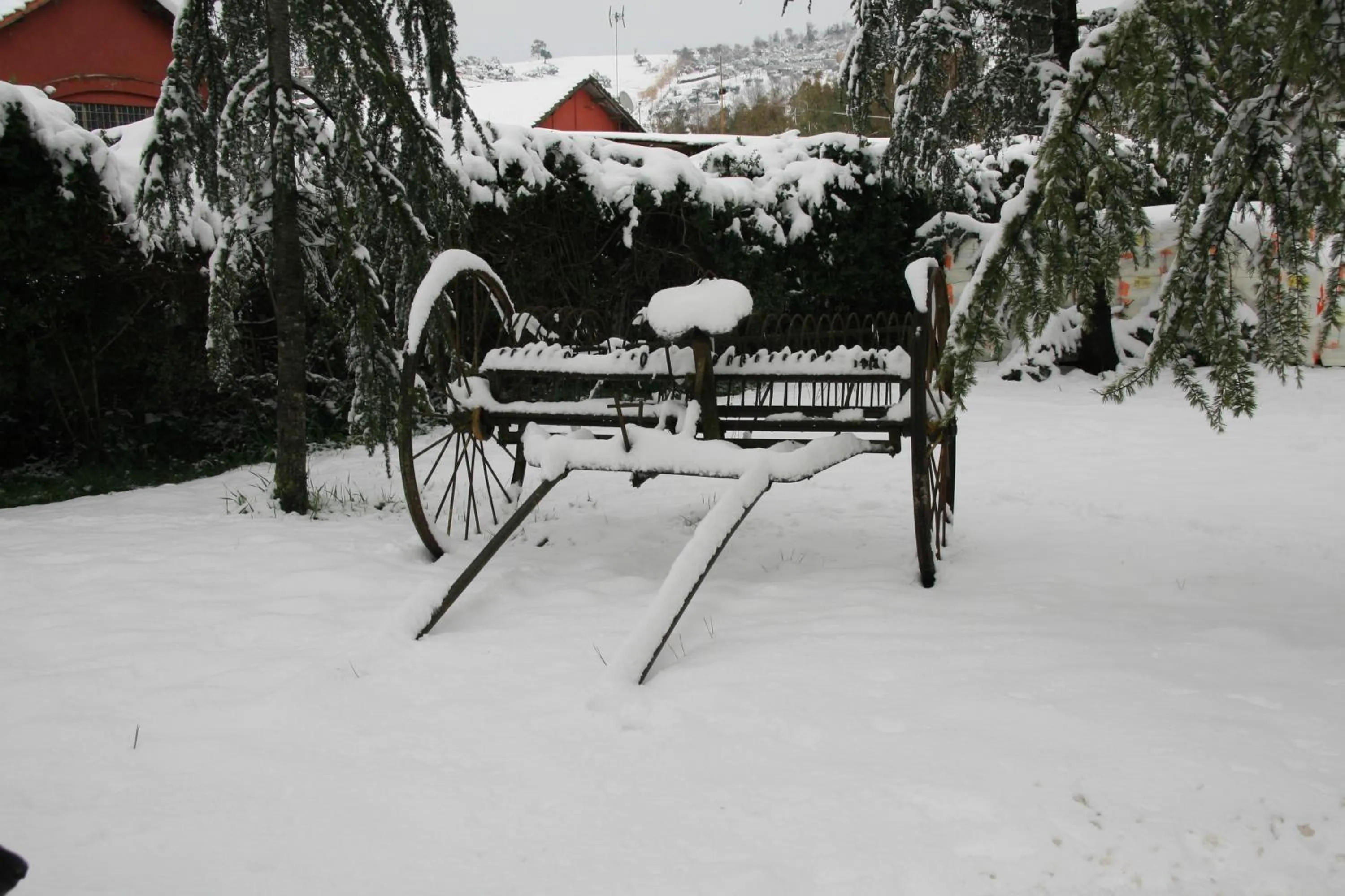 Winter in Tenuta Agricola Fonte Di Papa