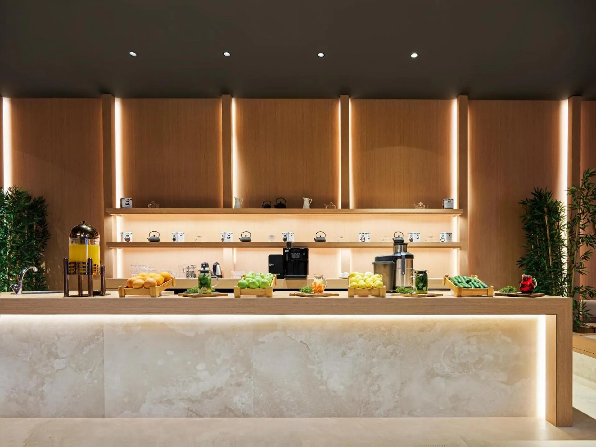 Lounge or bar in Voyage Torba Hotel