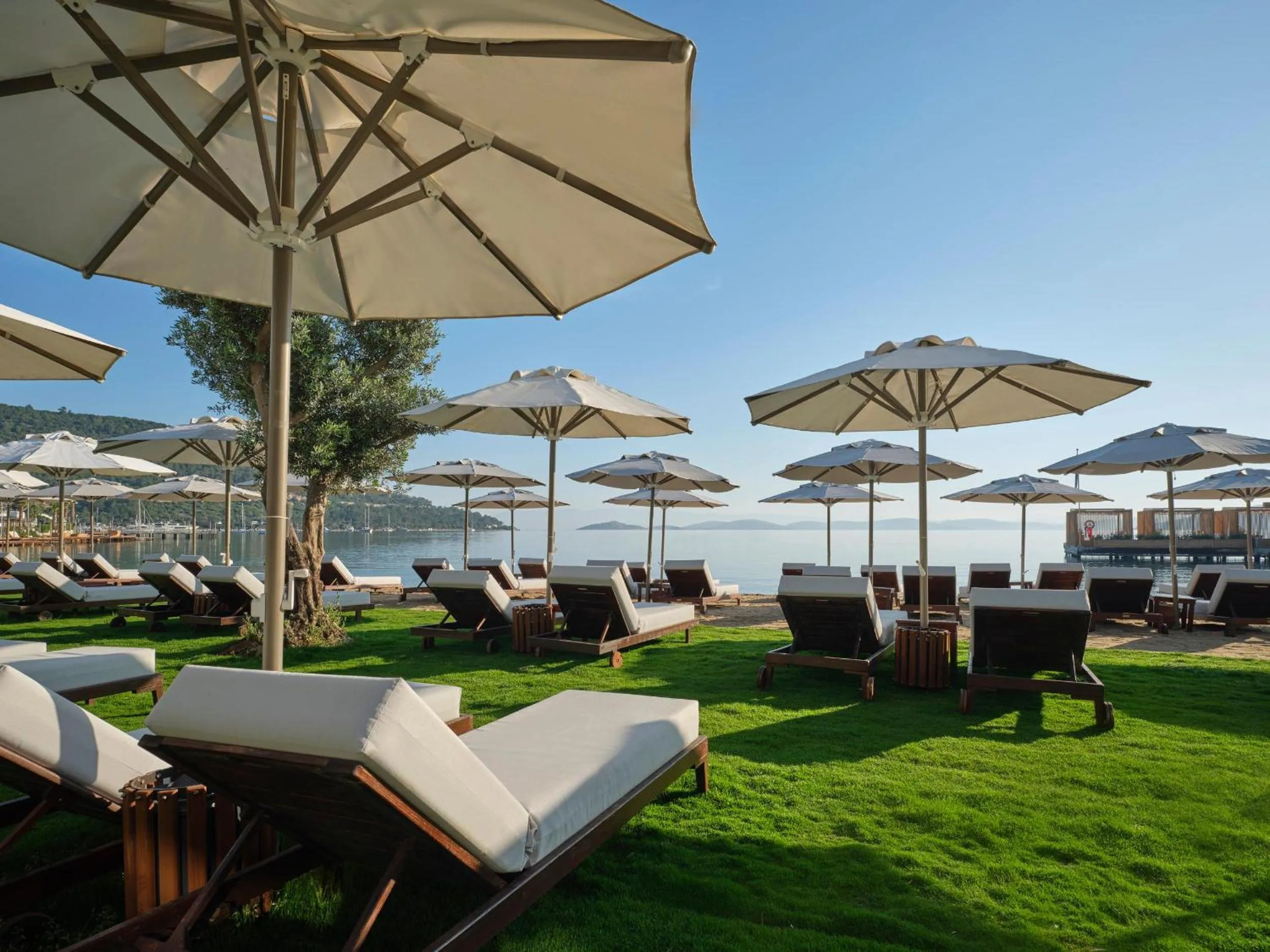 Beach in Voyage Torba Hotel