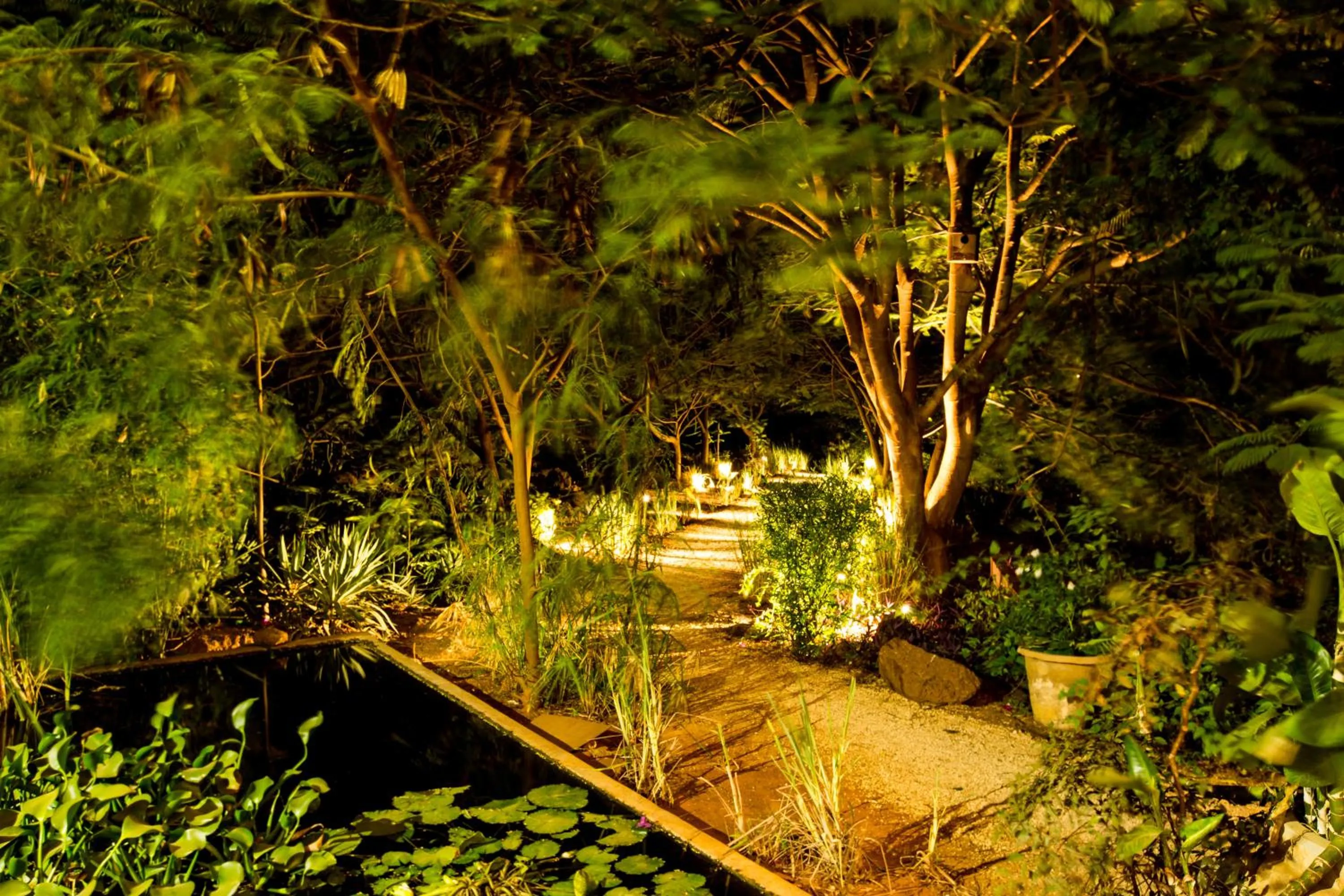 Les Manguiers de Guereo