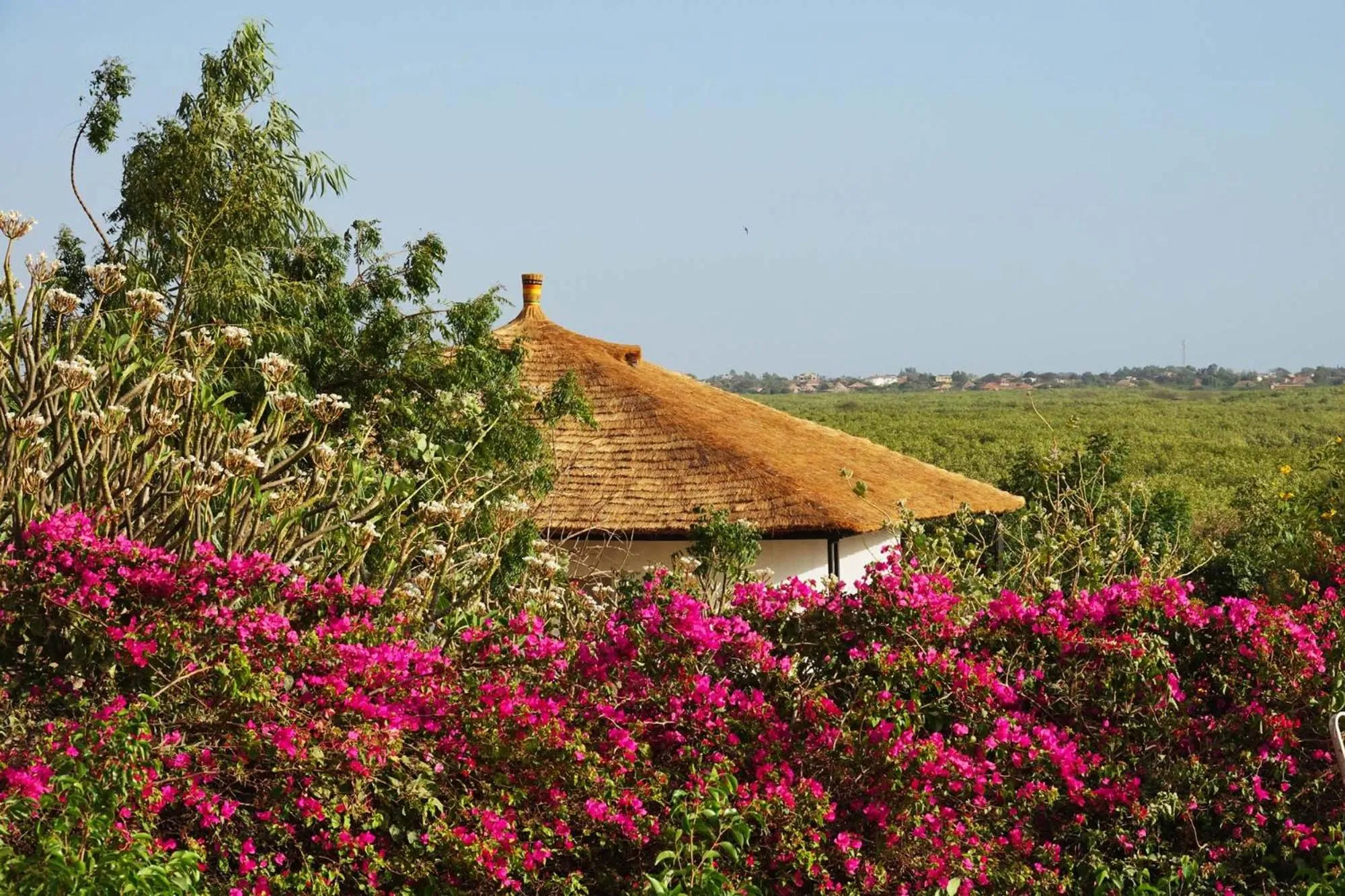 Property building in Les Manguiers de Guereo