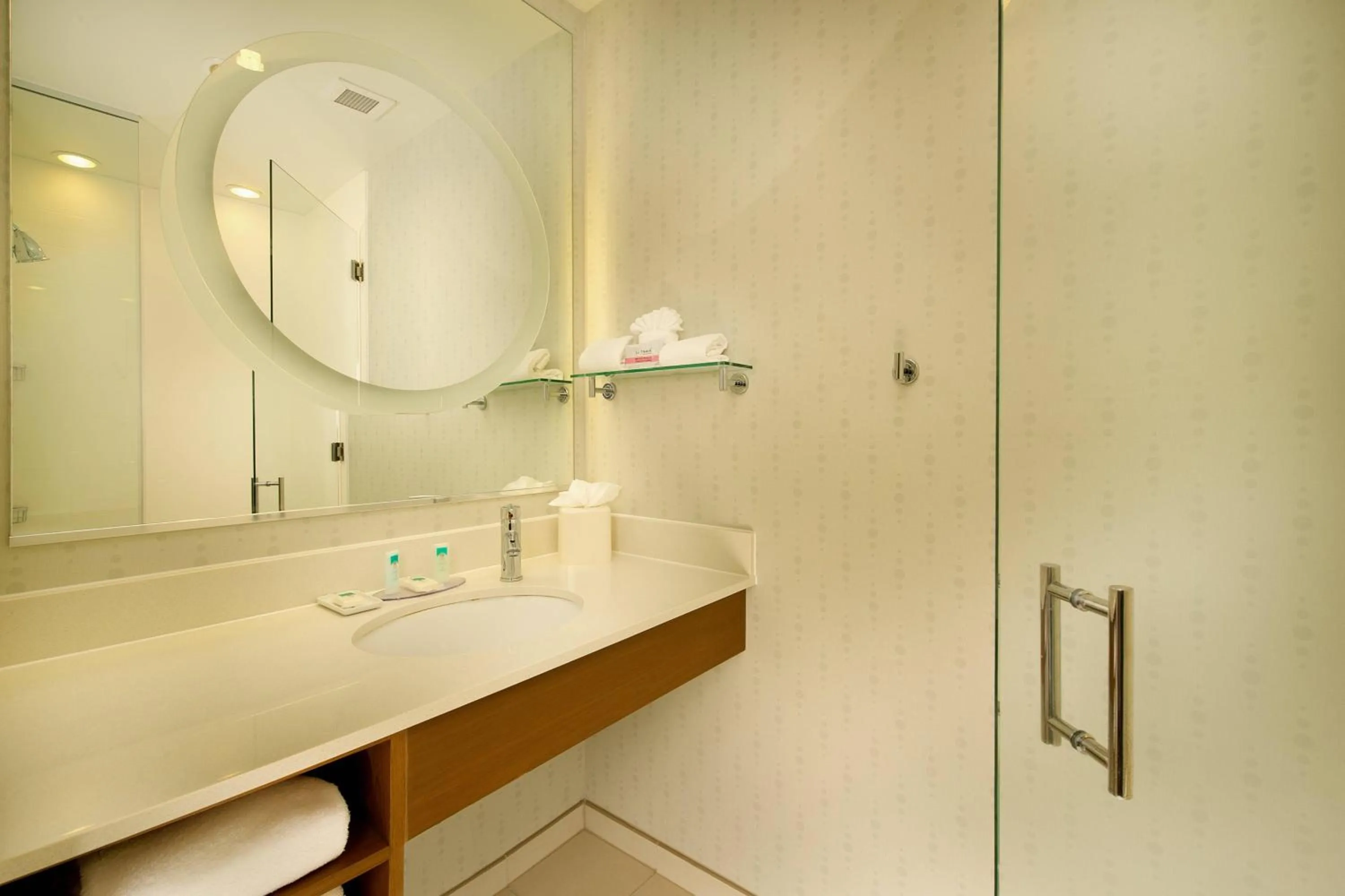 Bathroom in SpringHill Suites by Marriott San Antonio SeaWorld®/Lackland