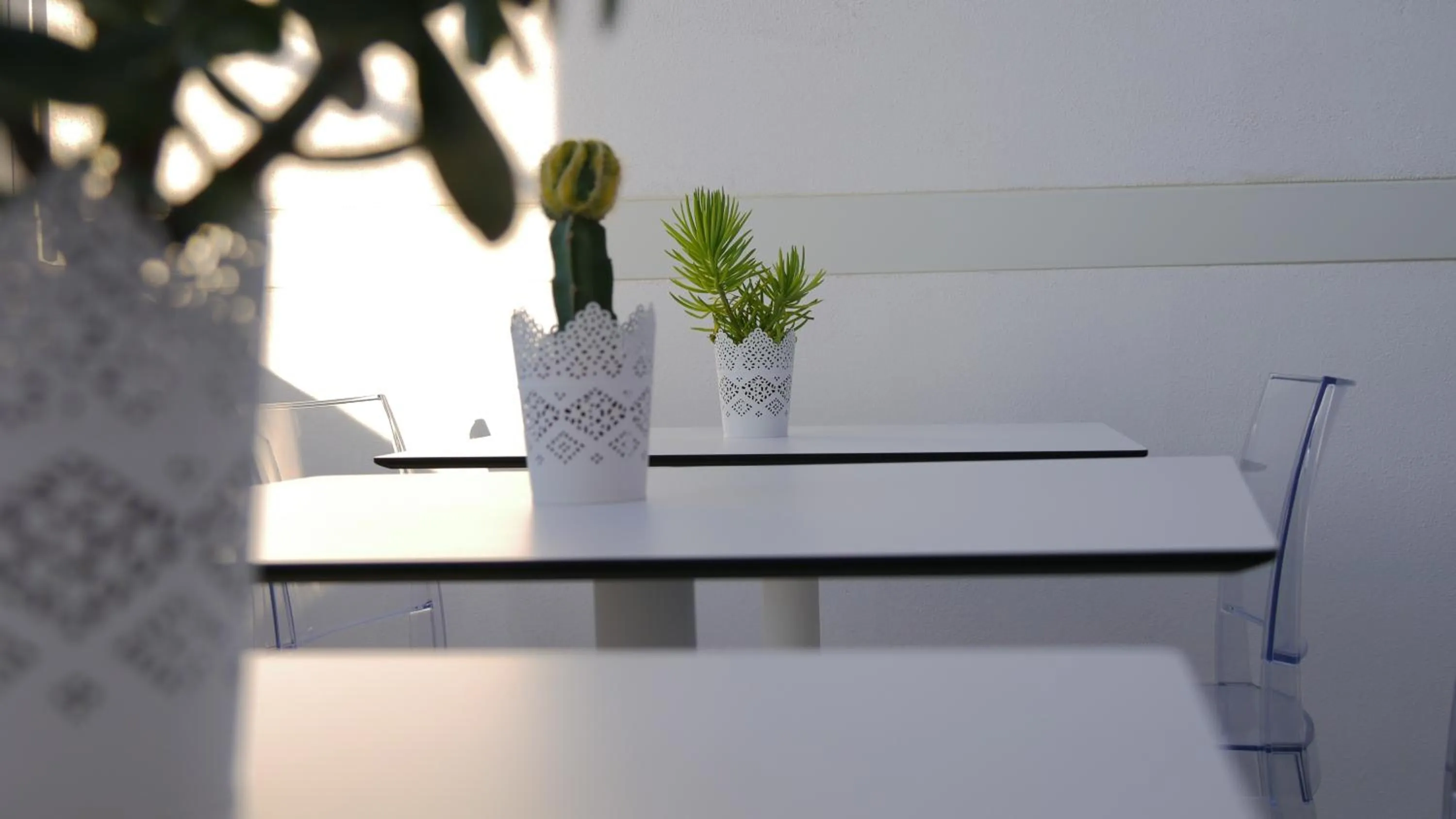 Lounge or bar in Domus Nova