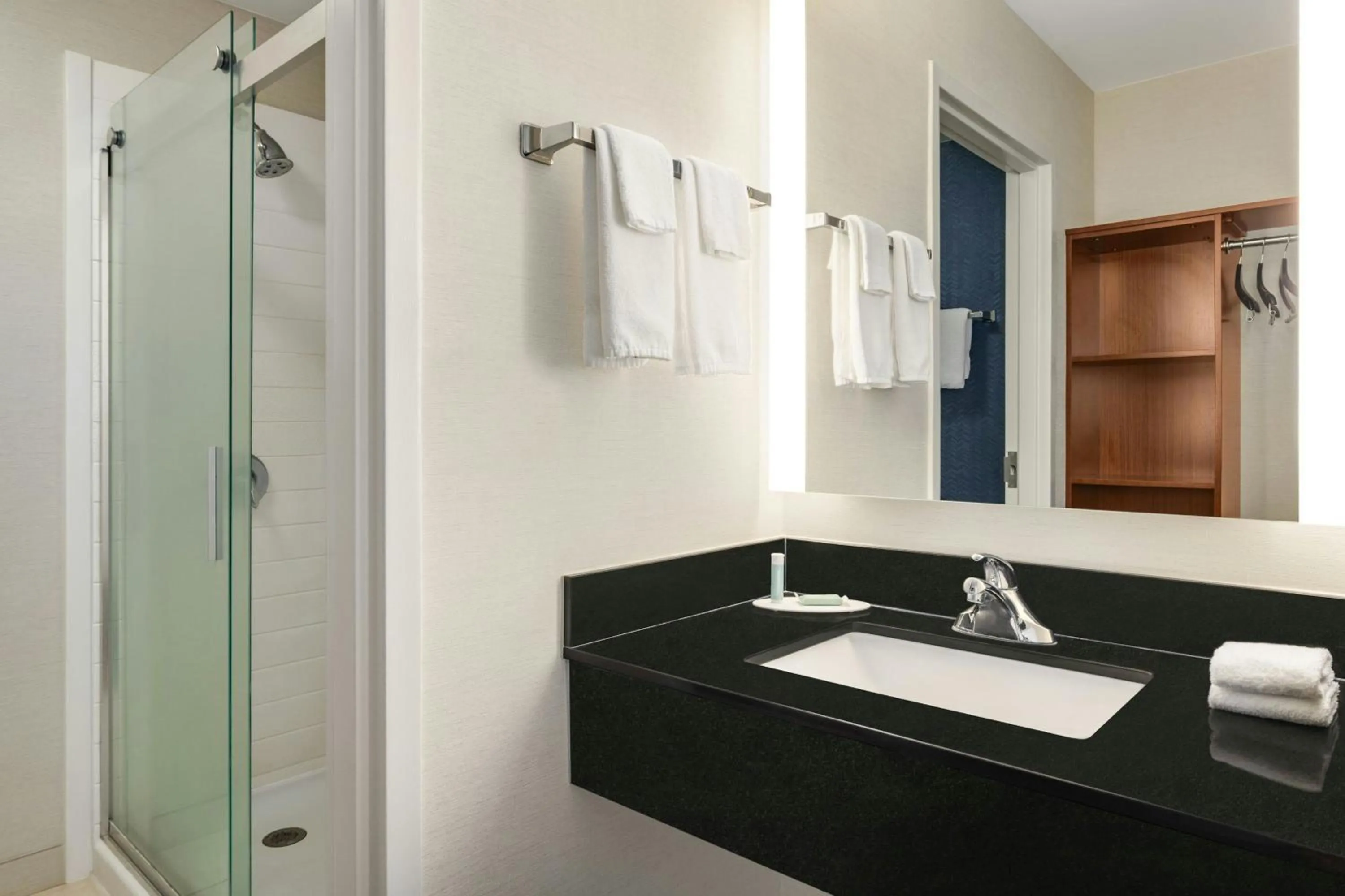 Bathroom in Fairfield Inn & Suites Savannah I-95 South