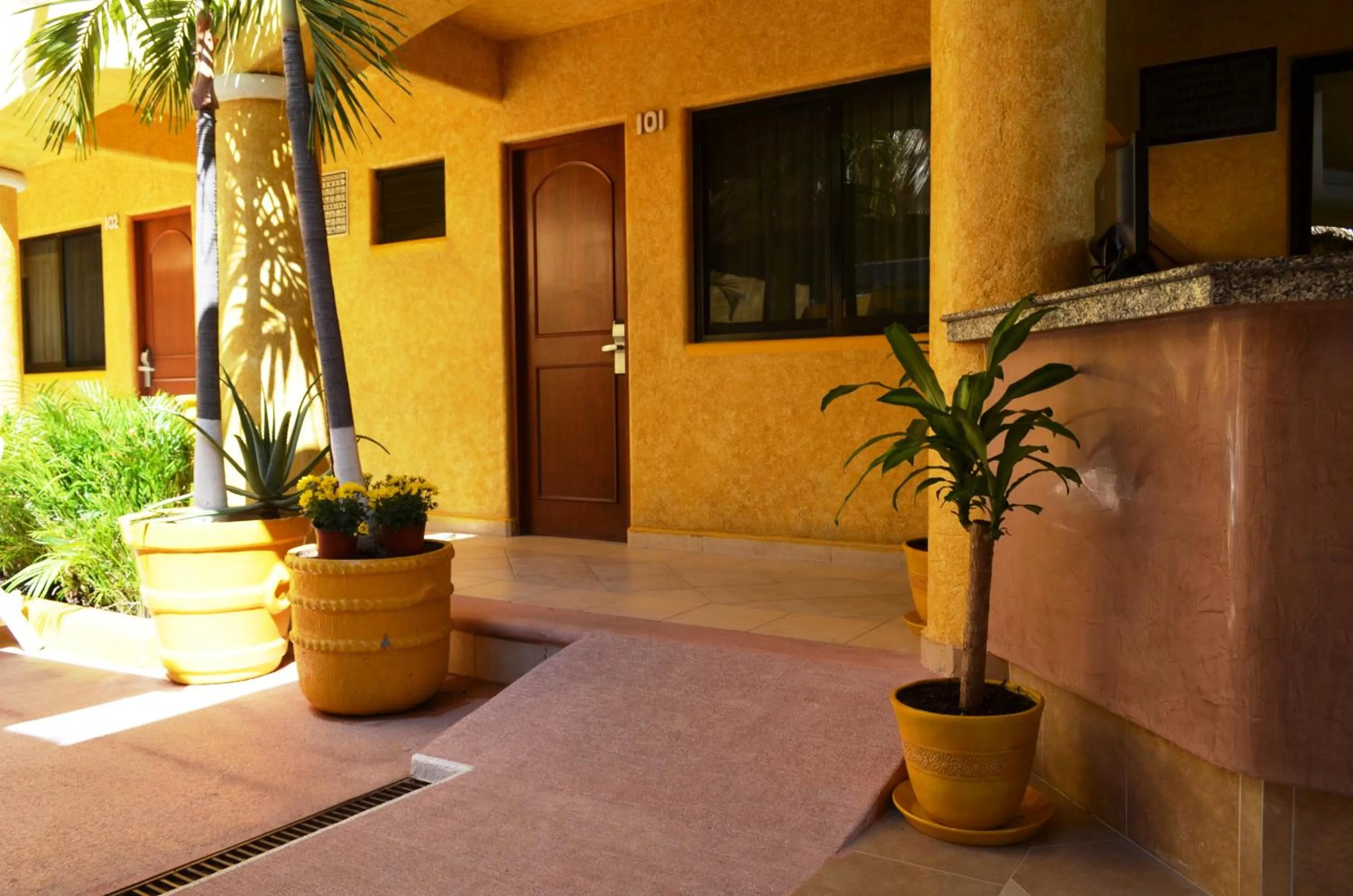 Area and facilities in Villas La Lupita