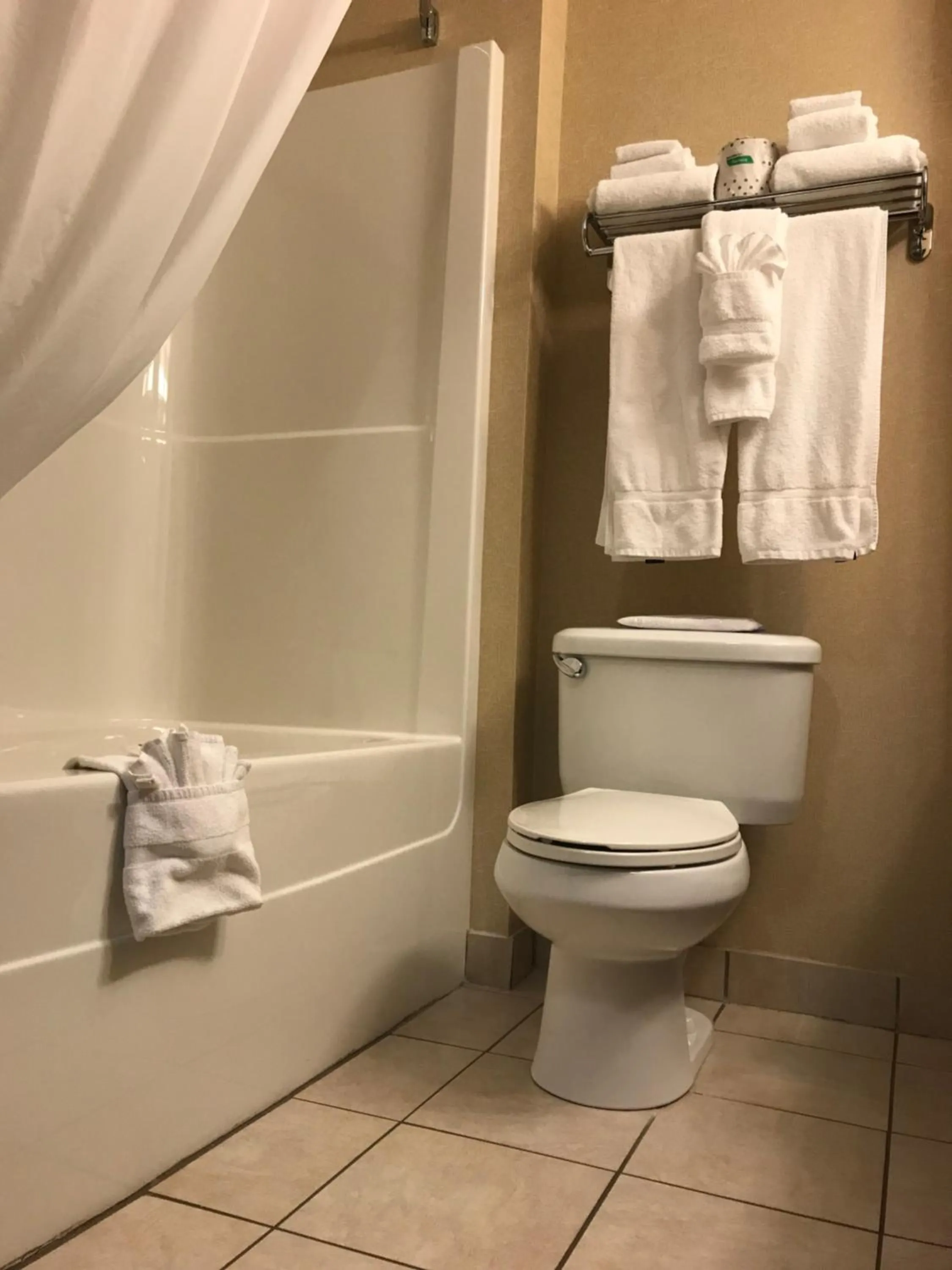 Shower in Comfort Inn & Suites