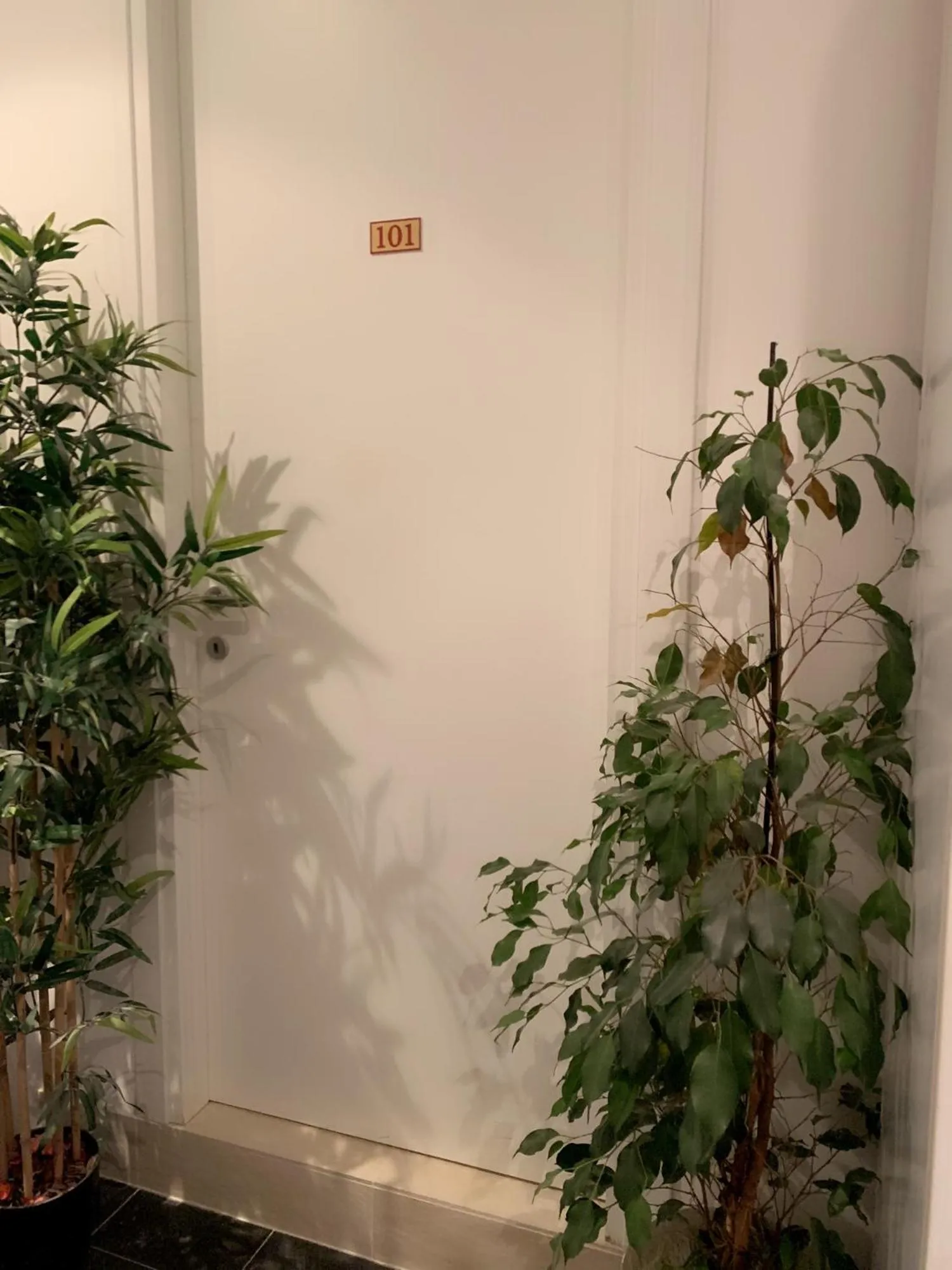 Property building in Ca' Rebeka Venice - Atika & Atif