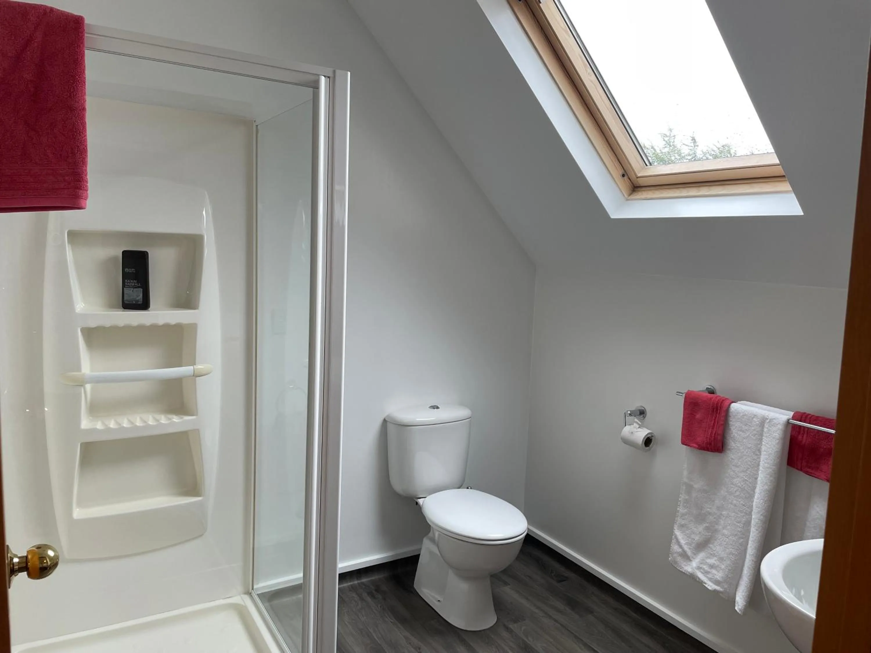 Toilet in Amberlea B&B