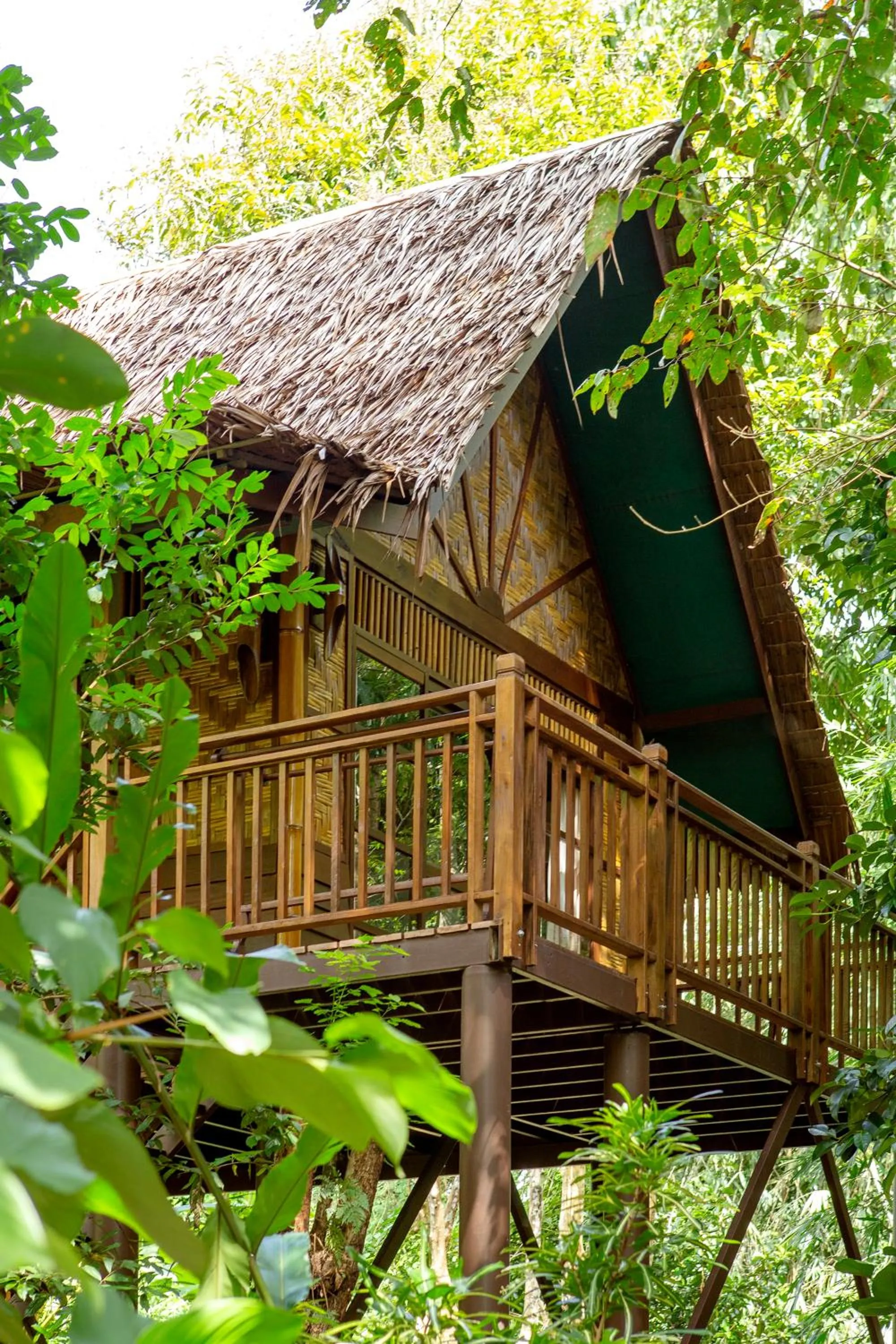 Day in Our Jungle Camp - Eco Resort