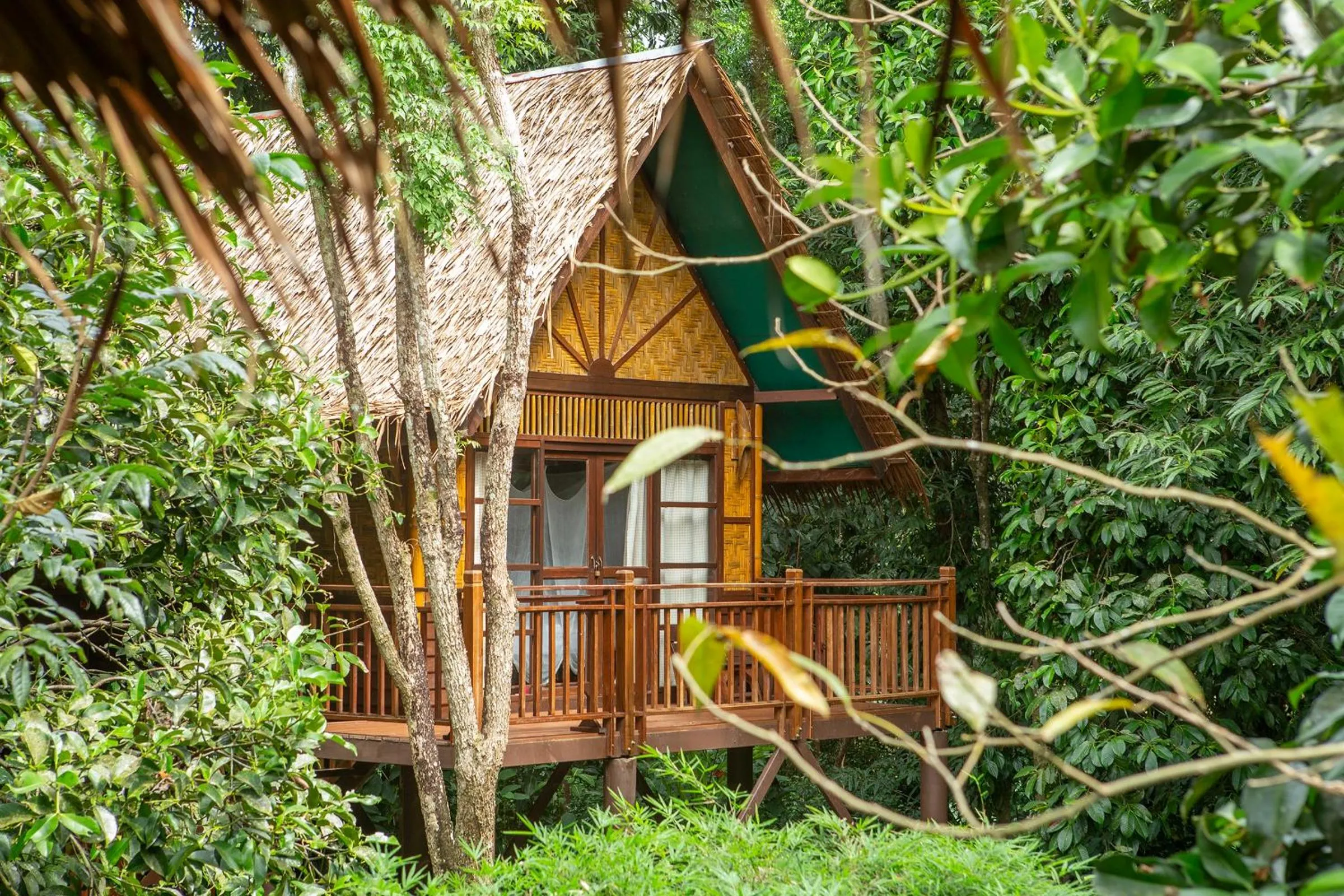 Balcony/Terrace in Our Jungle Camp - Eco Resort