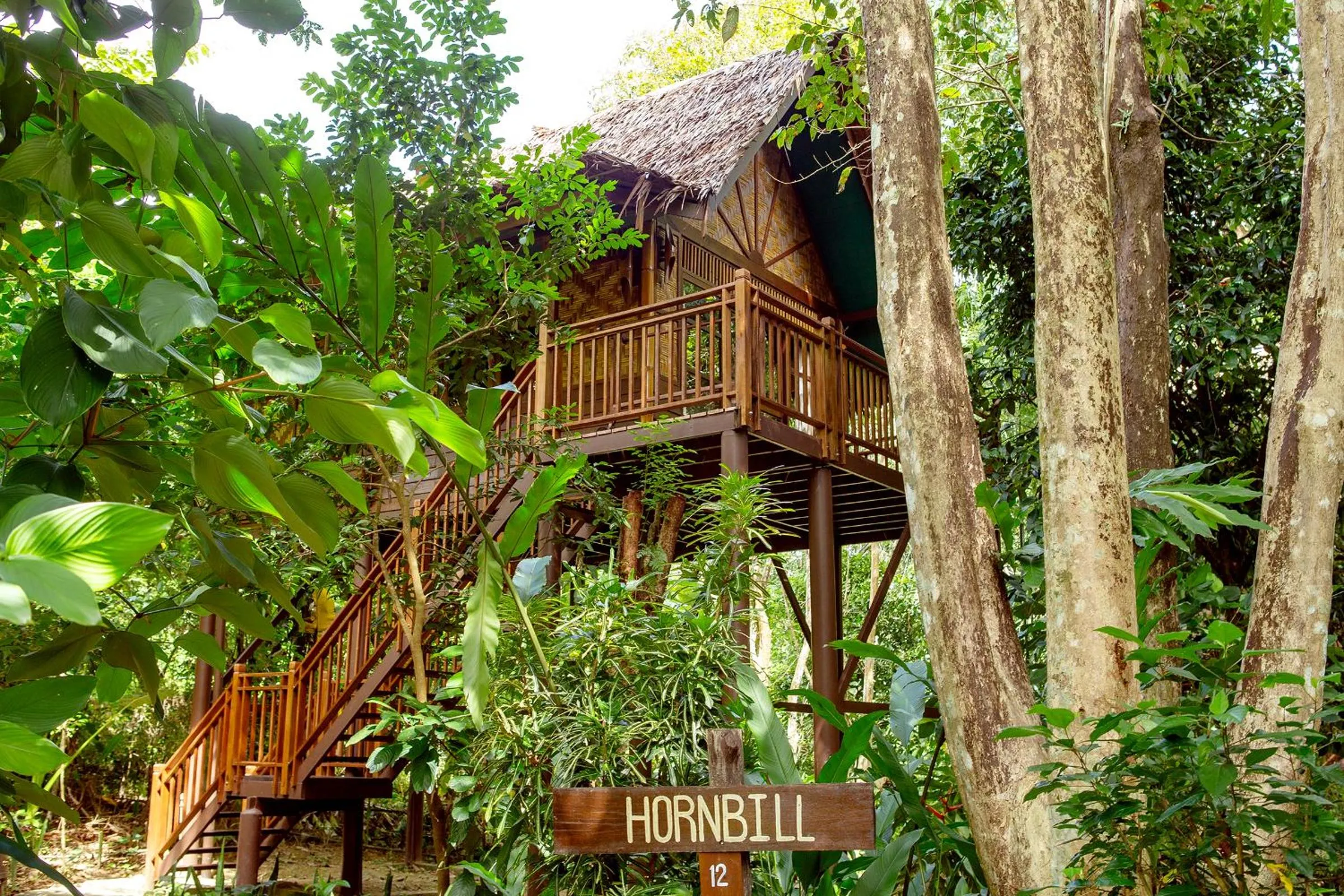 View (from property/room) in Our Jungle Camp - Eco Resort