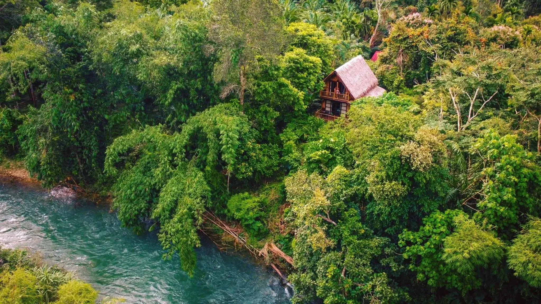 2 - Story Treehouse in Our Jungle Camp - Eco Resort 2 - Story Treehouse in Our Jungle Camp - Eco Resort