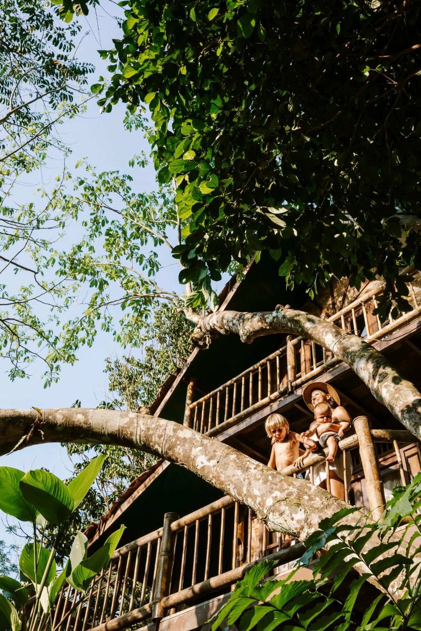 Natural landscape in Our Jungle Camp - Eco Resort