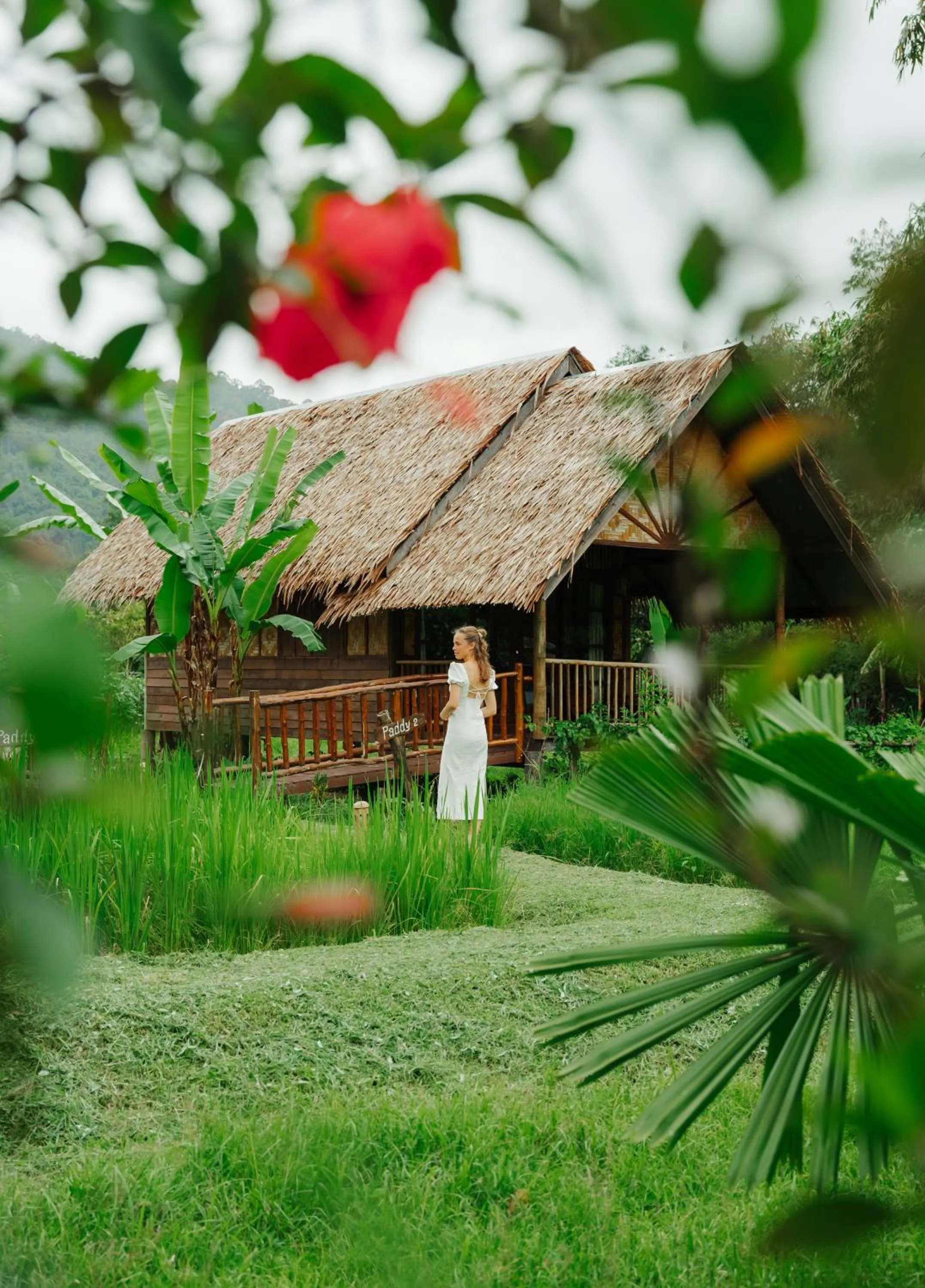 Natural landscape in Our Jungle Camp - Eco Resort