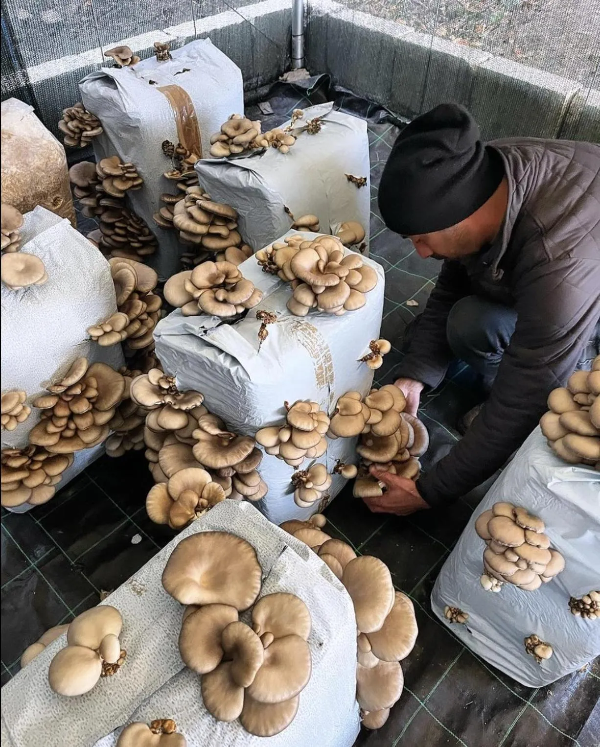 Agriturismo Il Riccio