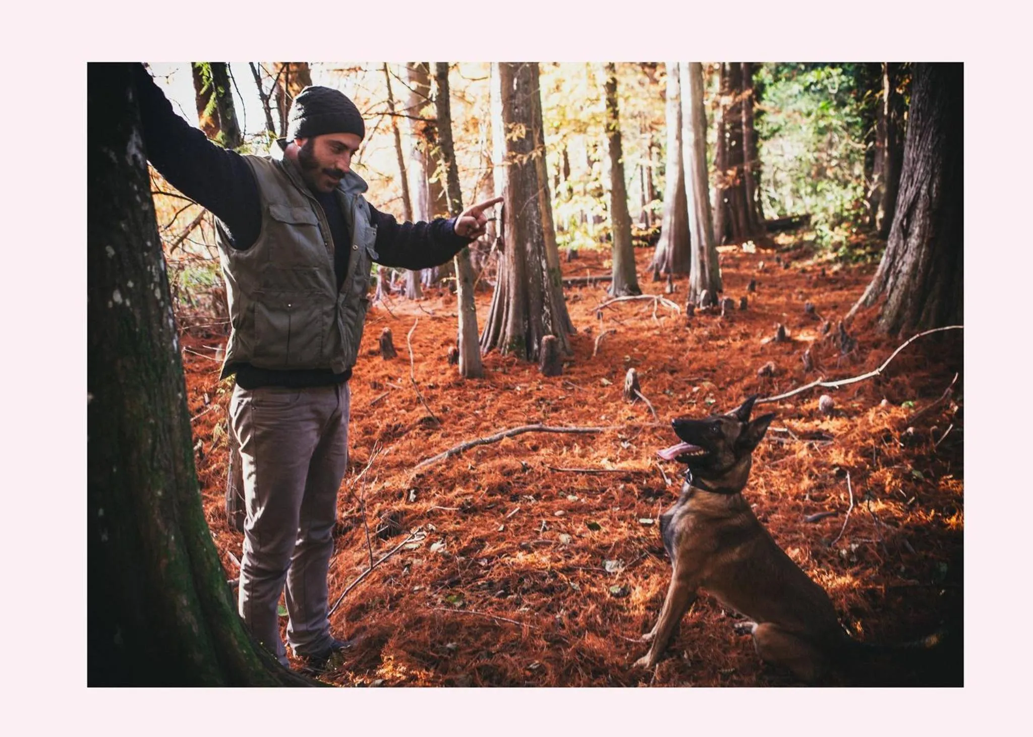 Agriturismo Il Riccio