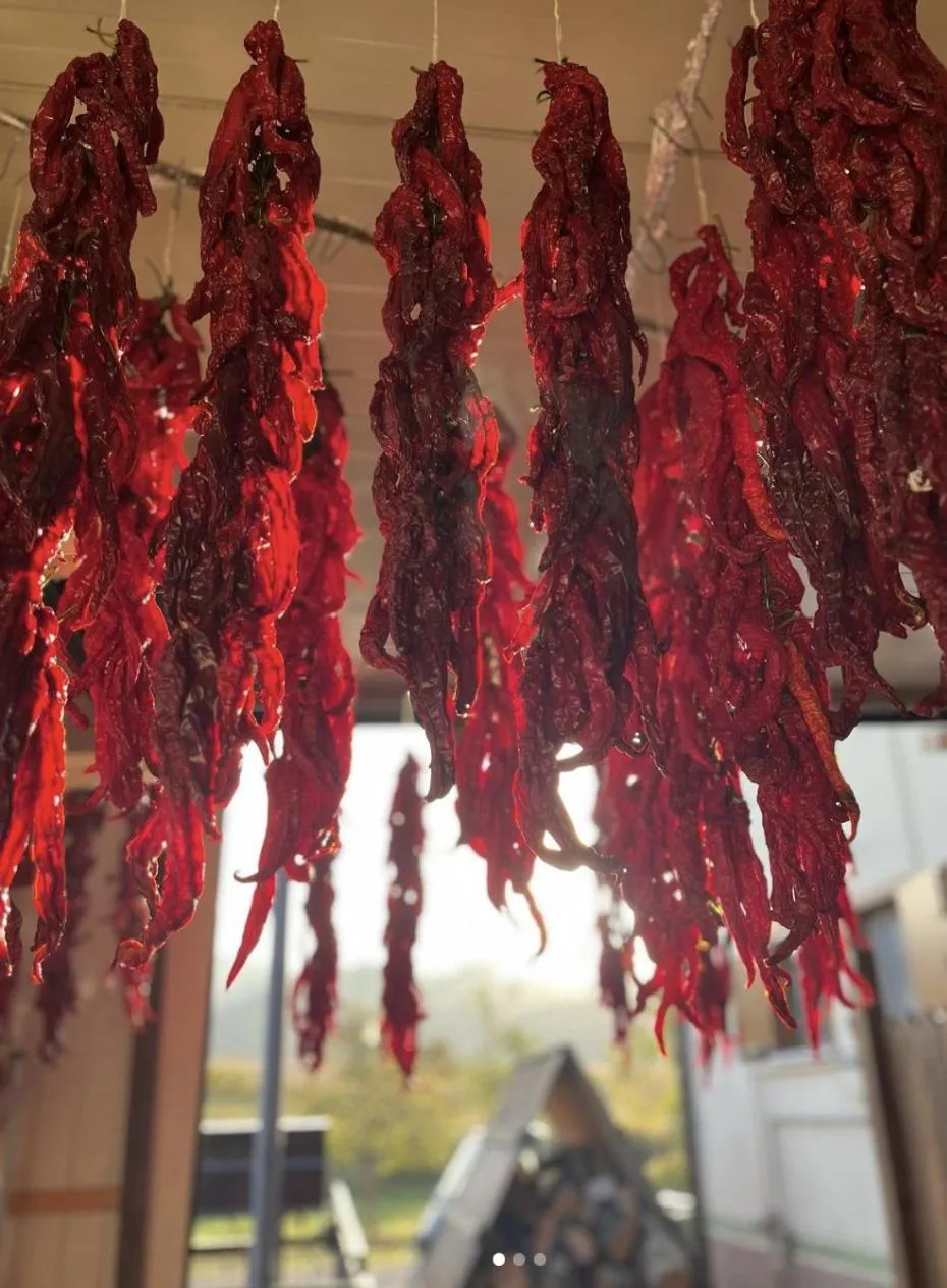 Agriturismo Il Riccio