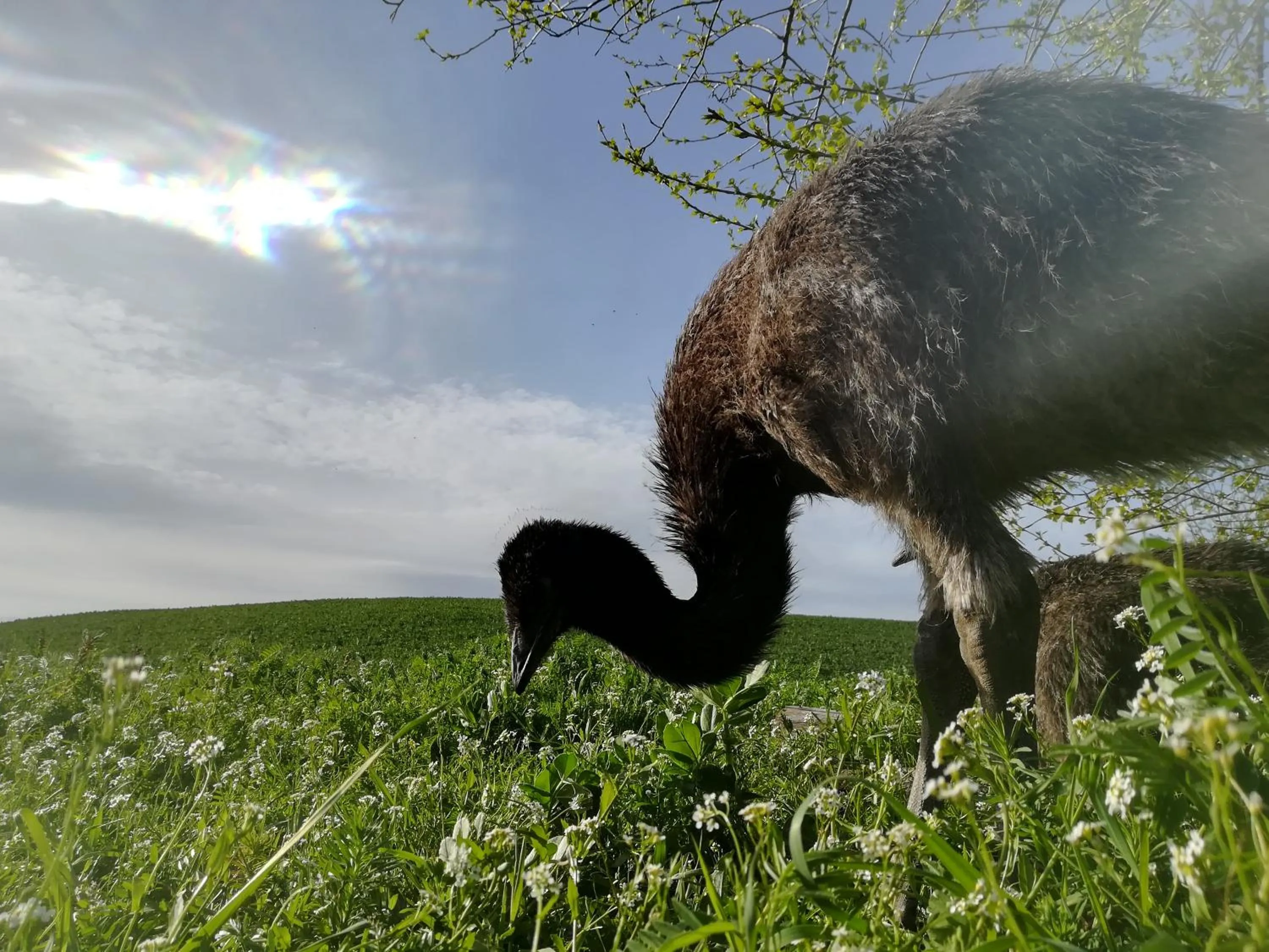 Agriturismo Il Riccio