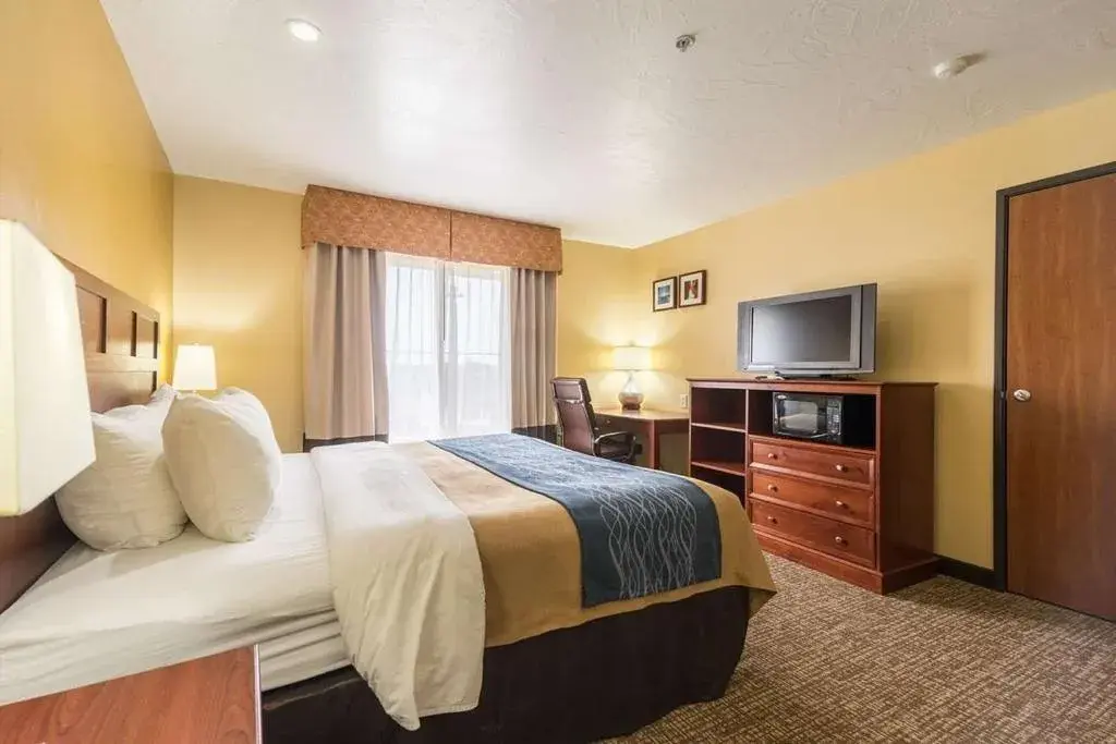 King Room - Accessible/Non-Smoking in Comfort Inn & Suites King Room - Accessible/Non-Smoking in Comfort Inn & Suites