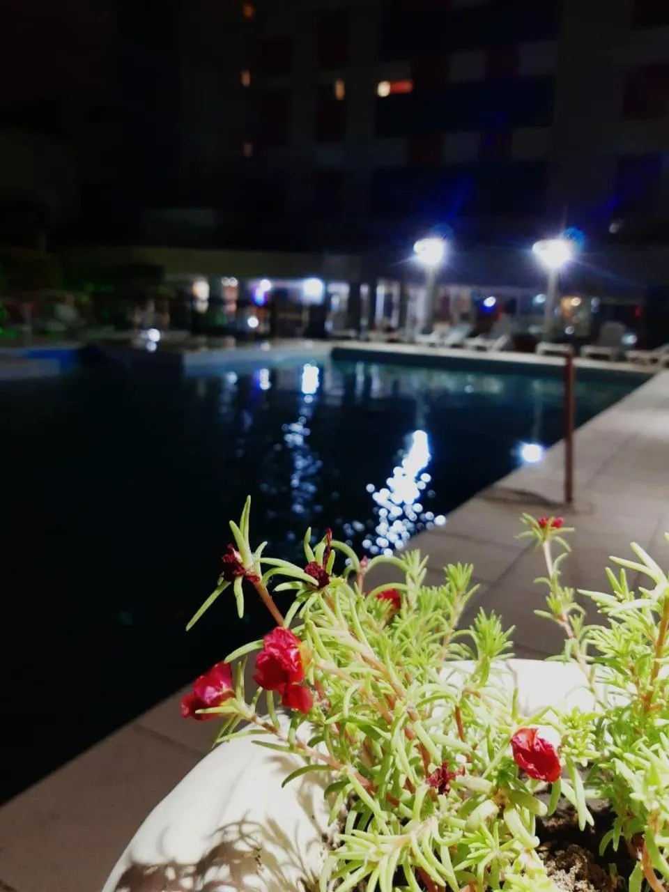 Night in San Remo Resort Hotel