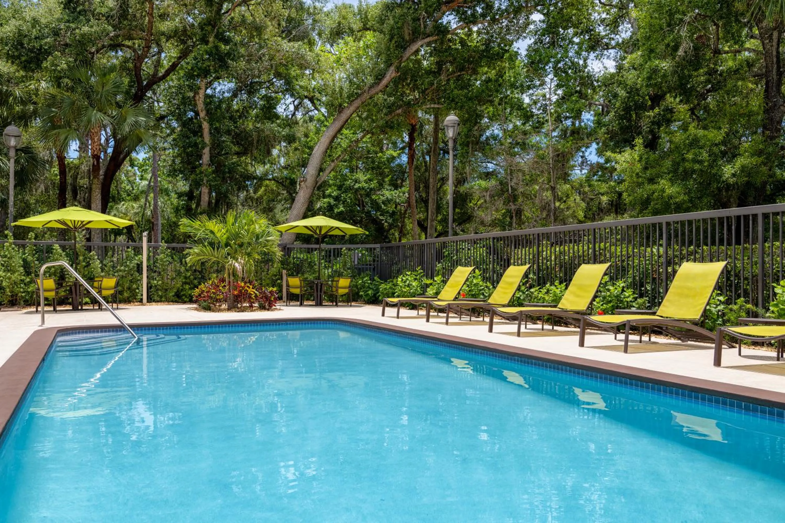 Swimming pool in SpringHill Suites Sarasota Bradenton