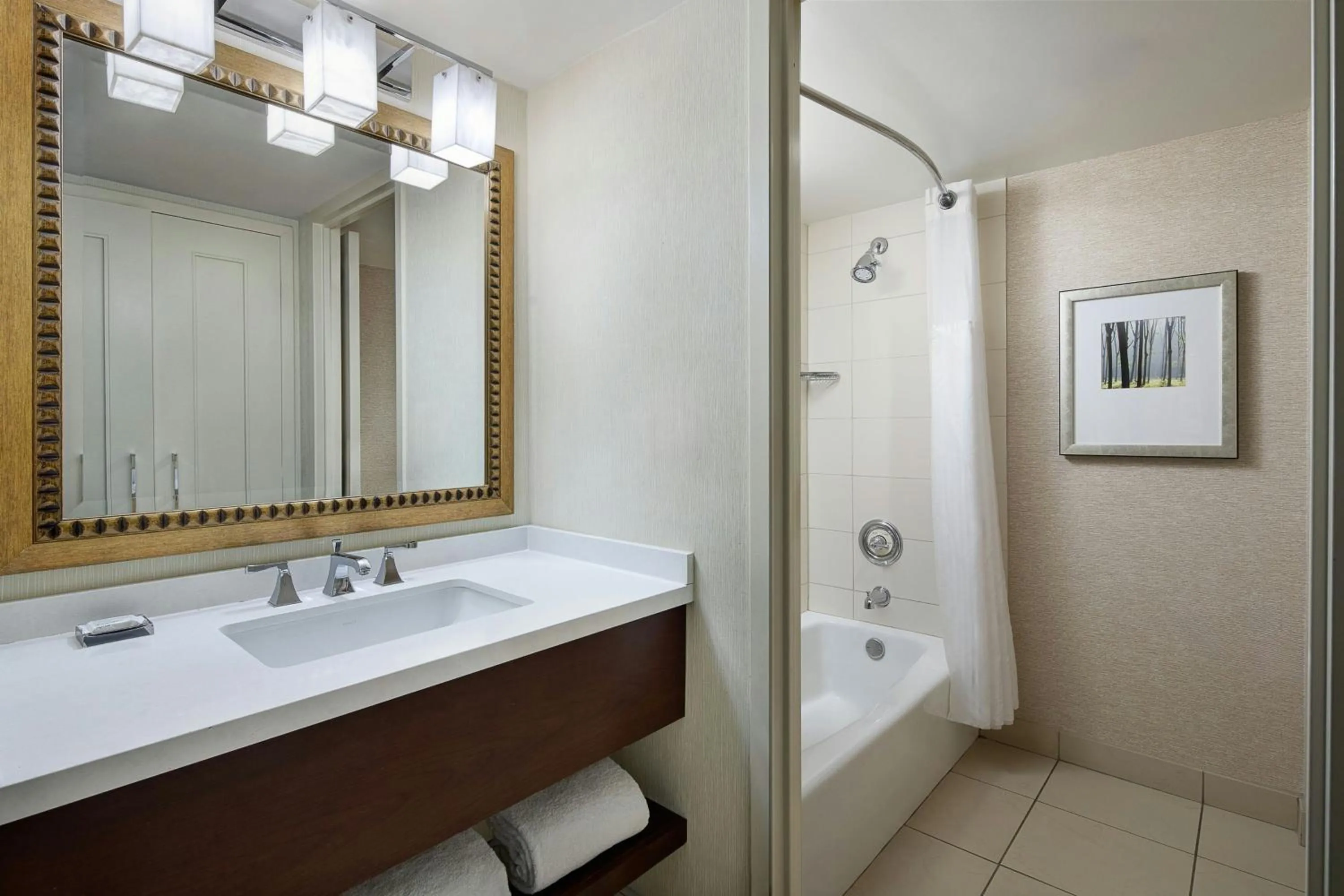 Bathroom in Marriott St. Louis West
