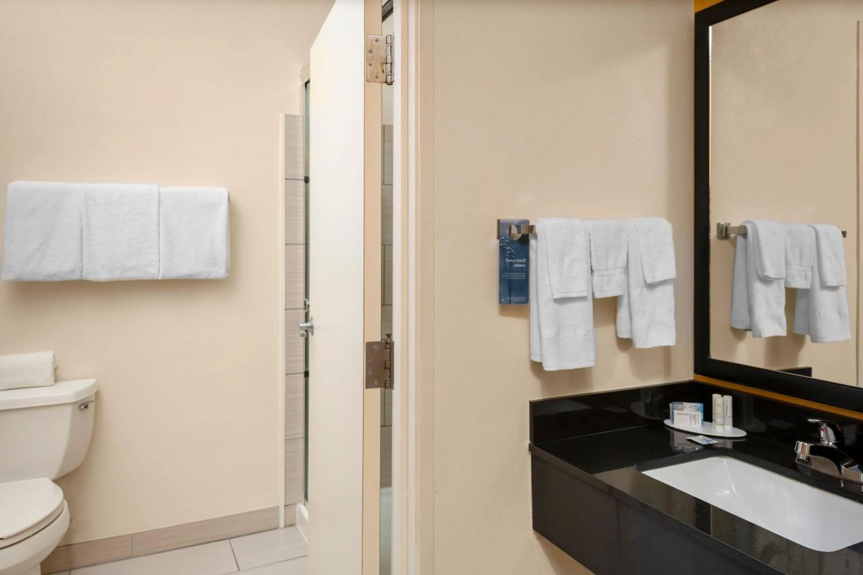 Bathroom in Fairfield Inn Tallahassee North/I-10