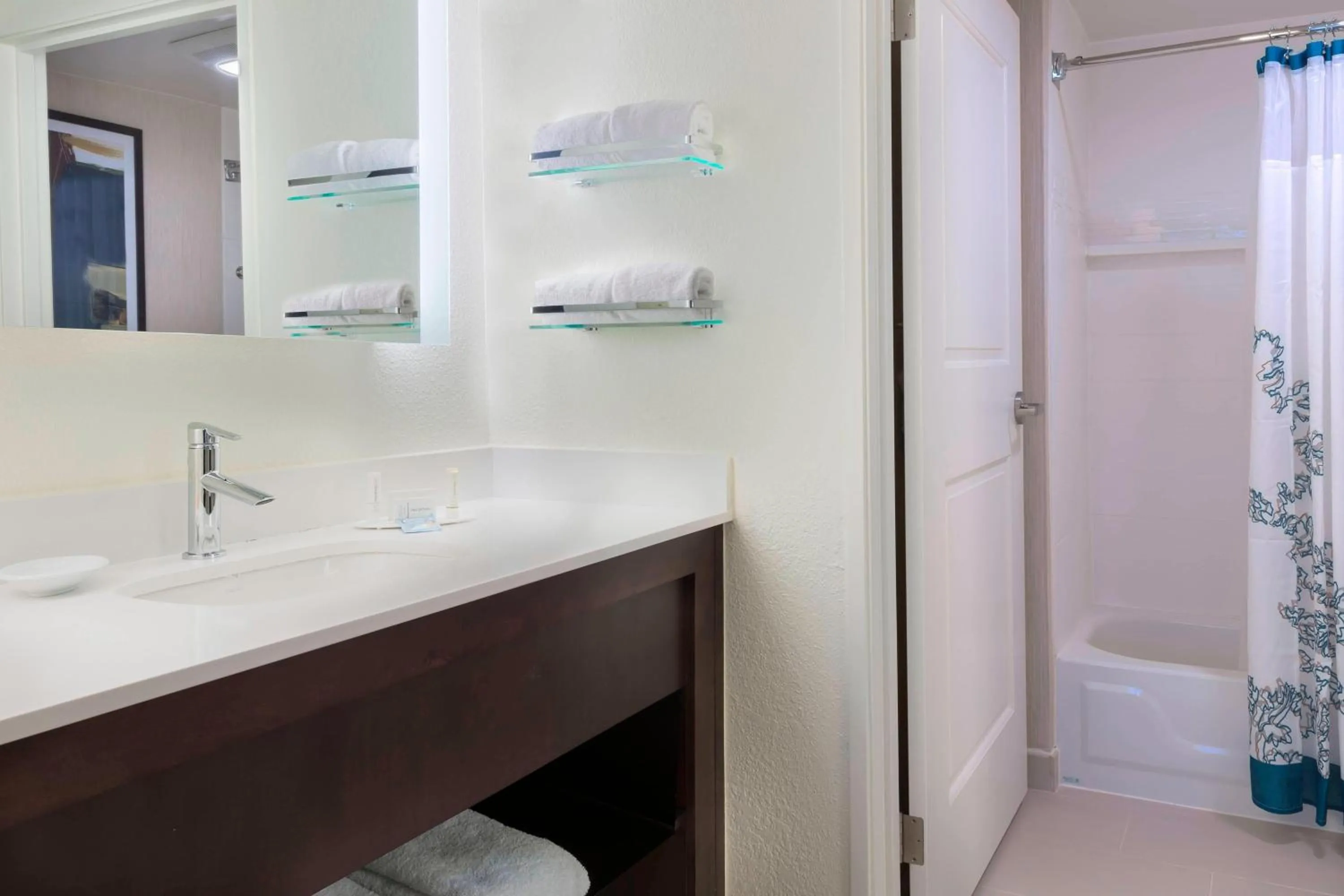 Bathroom in Residence Inn Tallahassee North I-10 Capital Circle