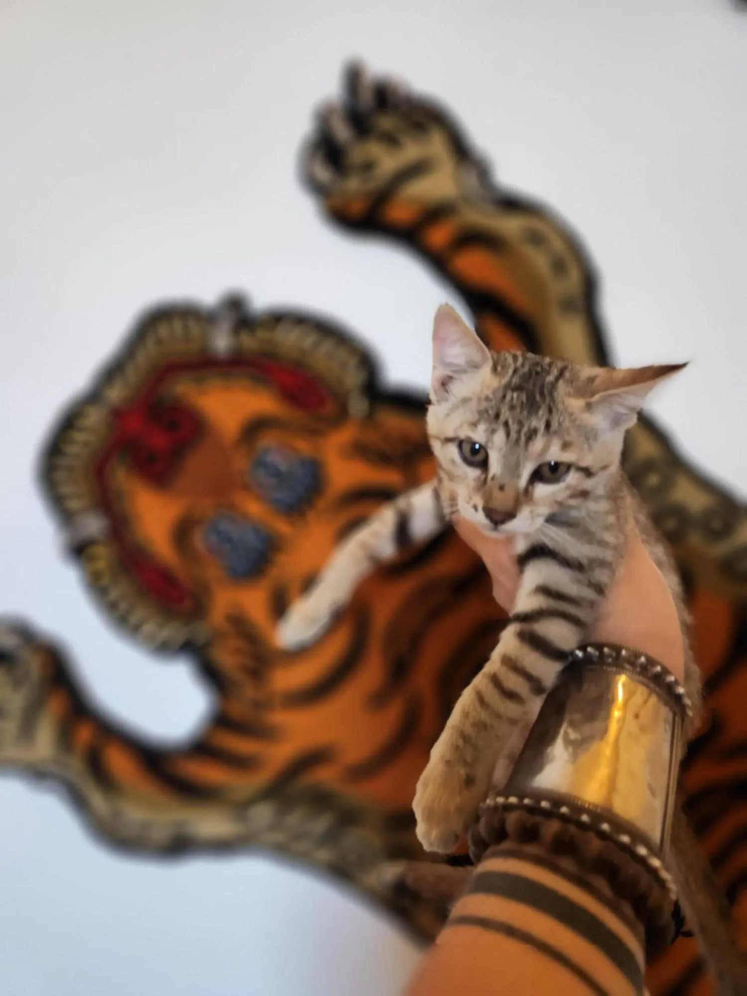 Activities in Blue Eye Hostel