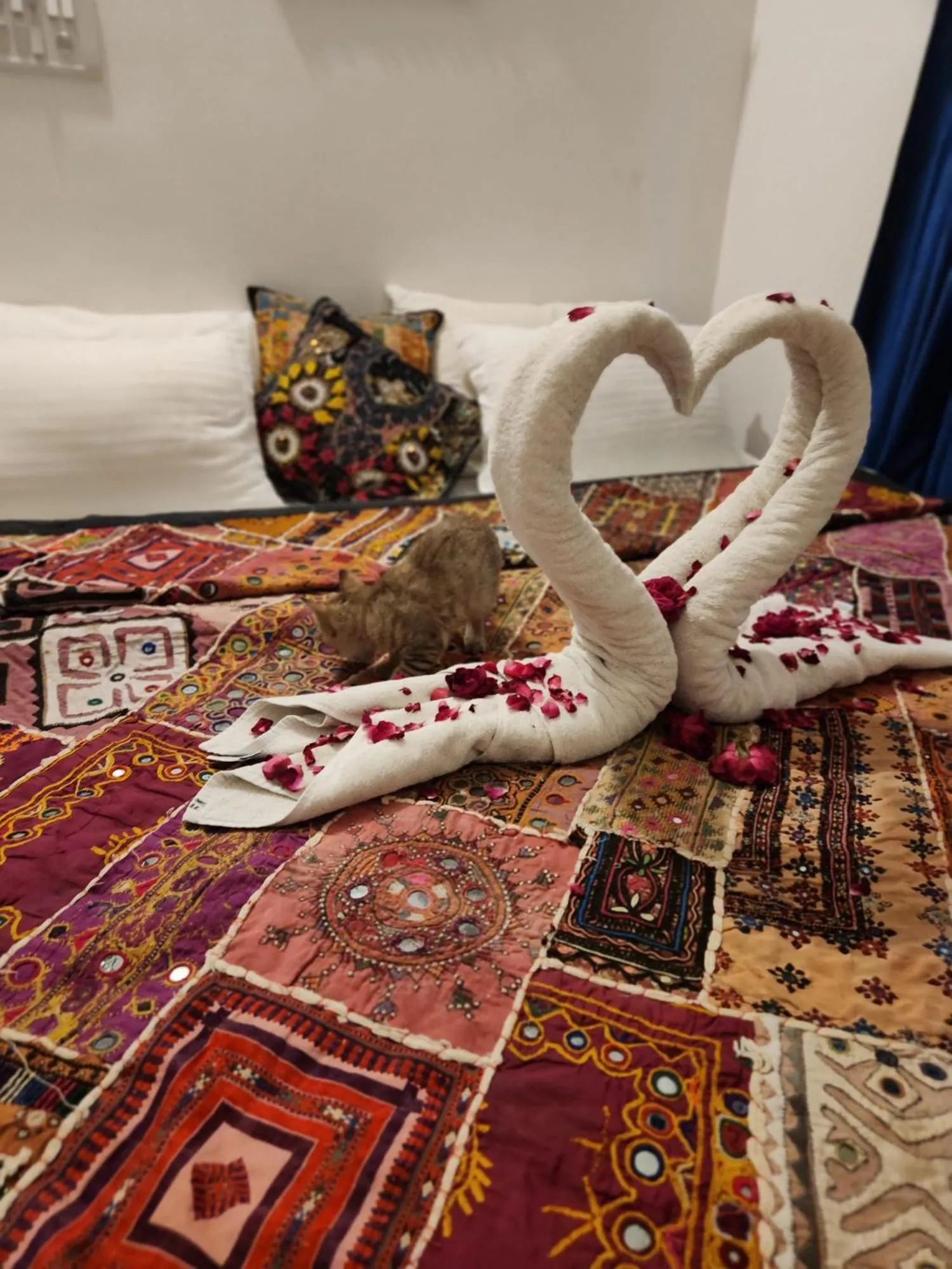 Bed in Blue Eye Hostel