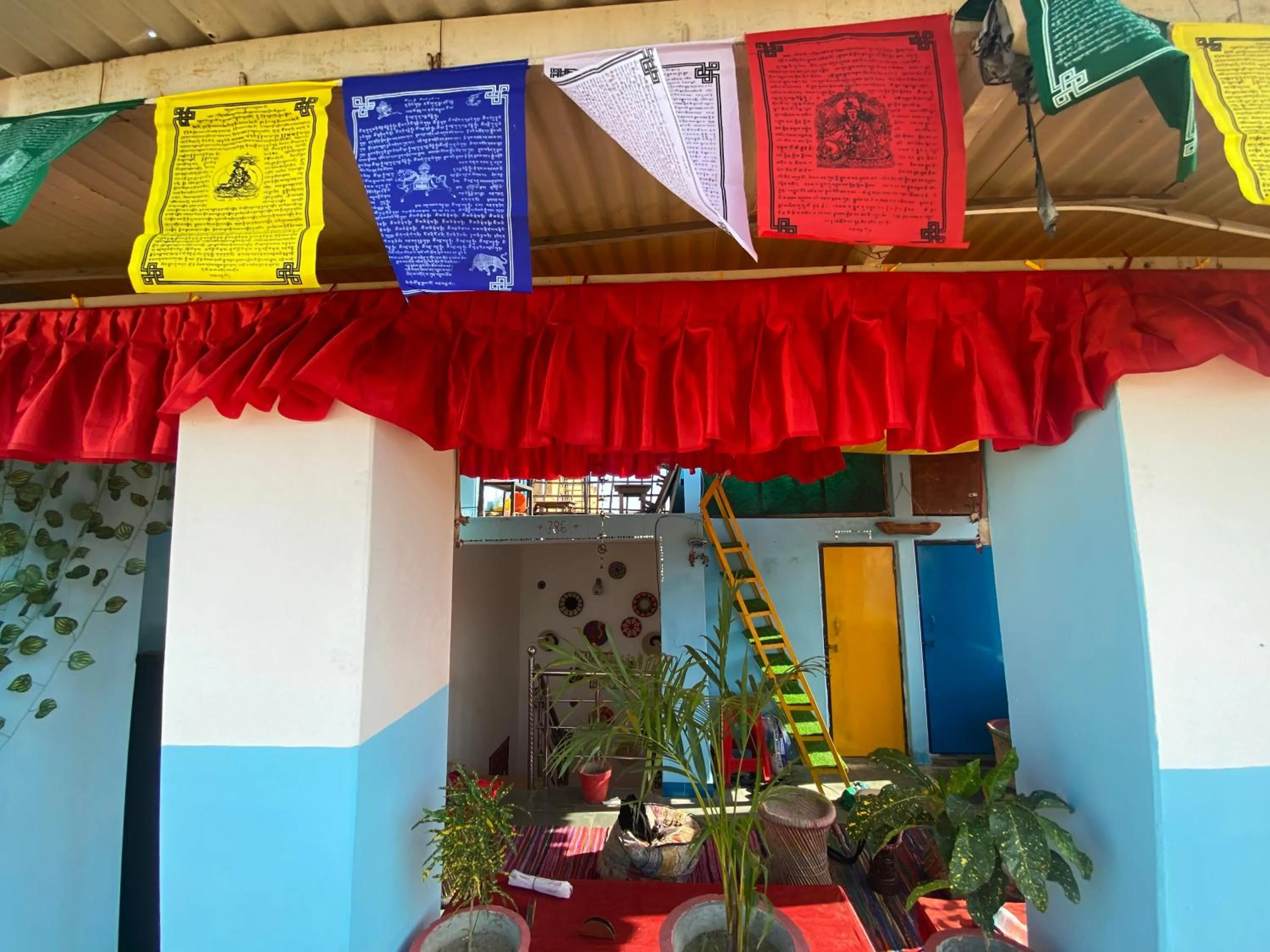 Restaurant/places to eat in Blue Eye Hostel