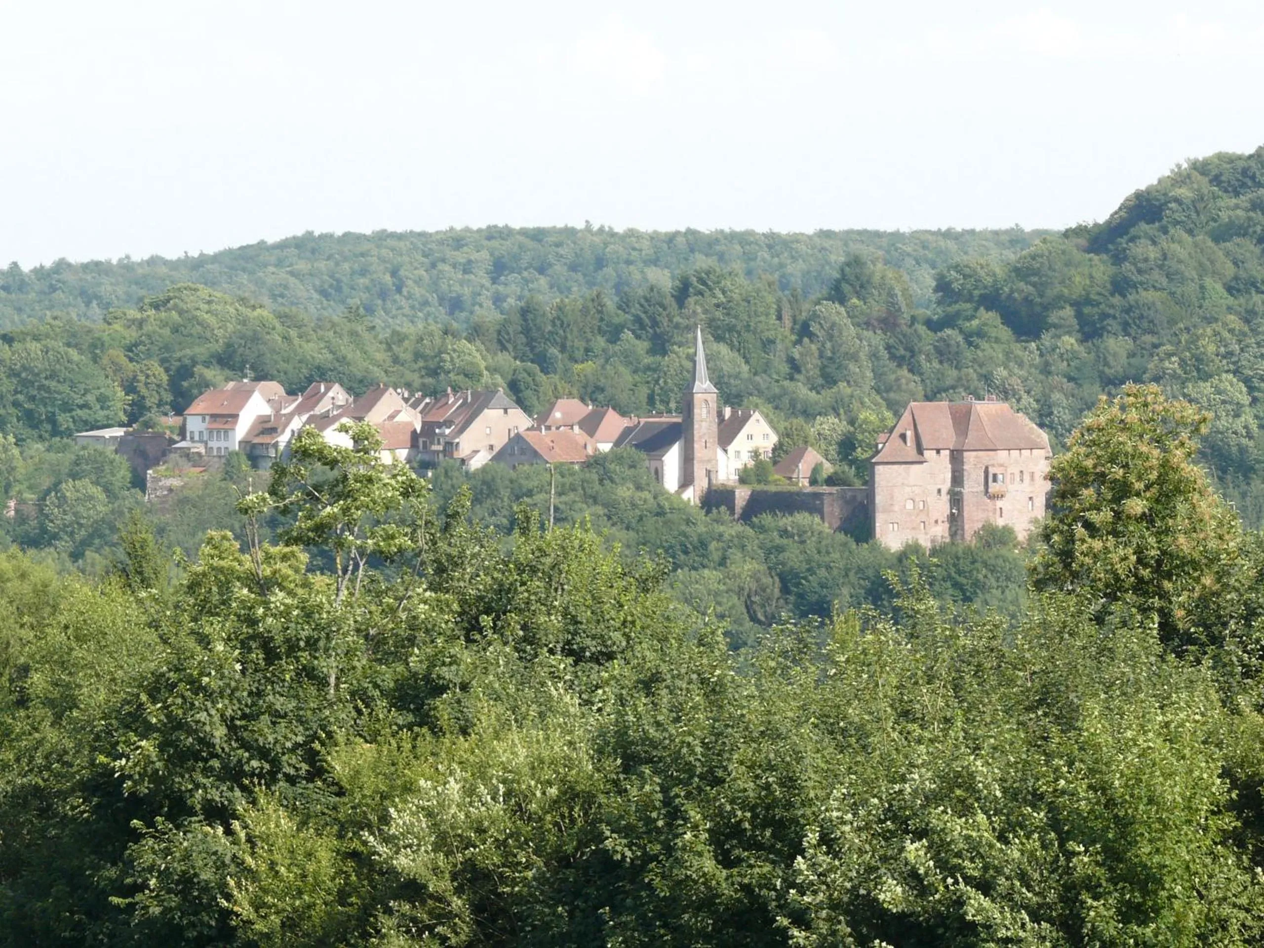 Nearby landmark in La Dependance de la Villa des Oiseaux - La Petite Pierre