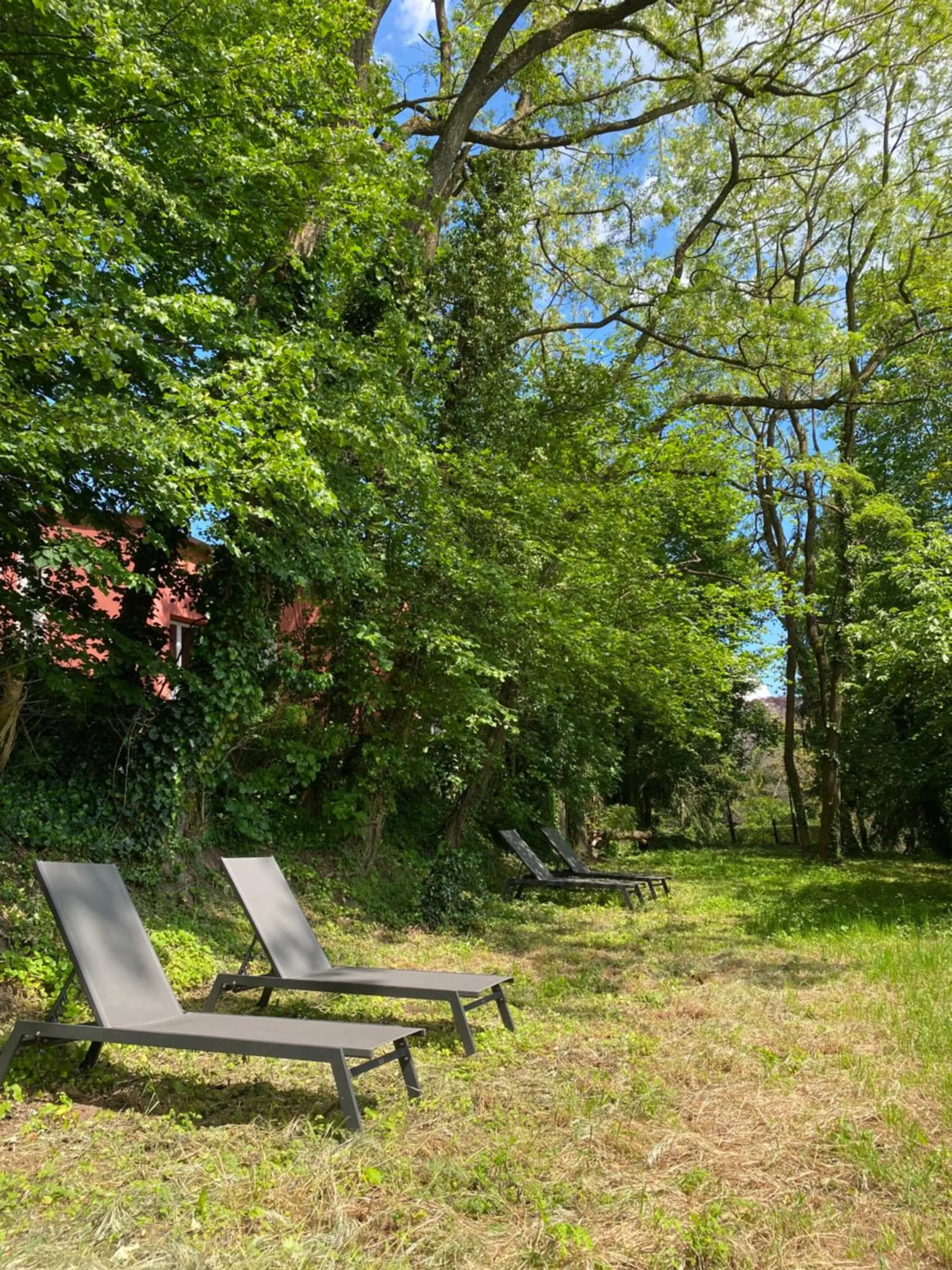 La Dependance de la Villa des Oiseaux - La Petite Pierre