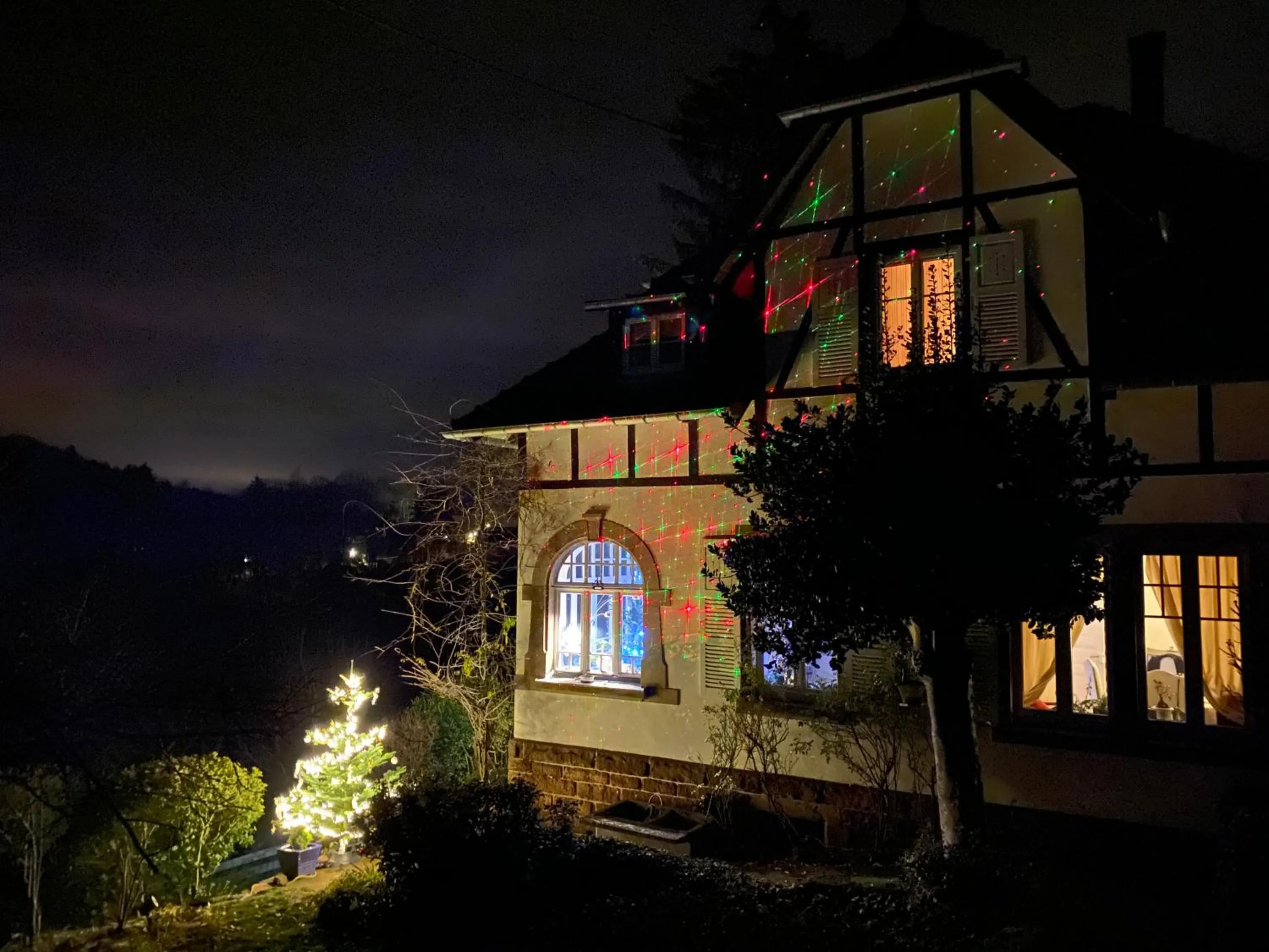 La Dependance de la Villa des Oiseaux - La Petite Pierre