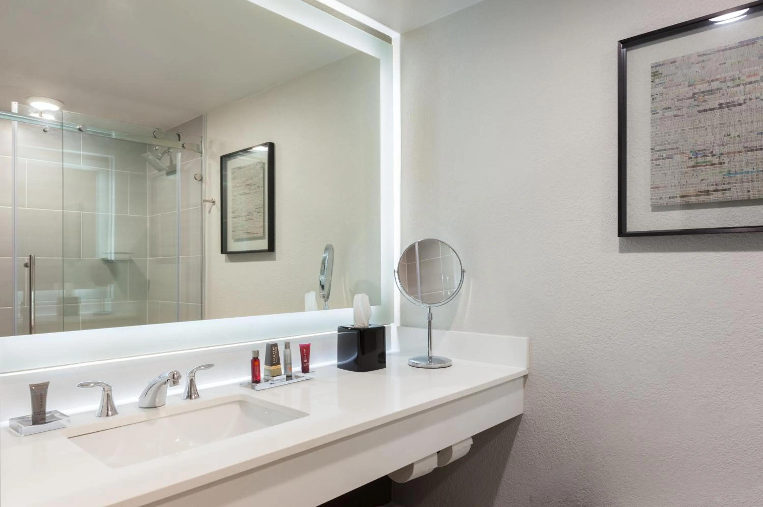 Bathroom in Marriott Tampa Westshore