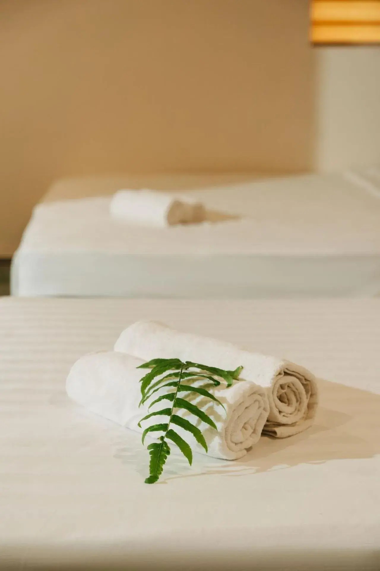 Triple Room with Garden View in Trang An Heritage Garden Triple Room with Garden View in Trang An Heritage Garden